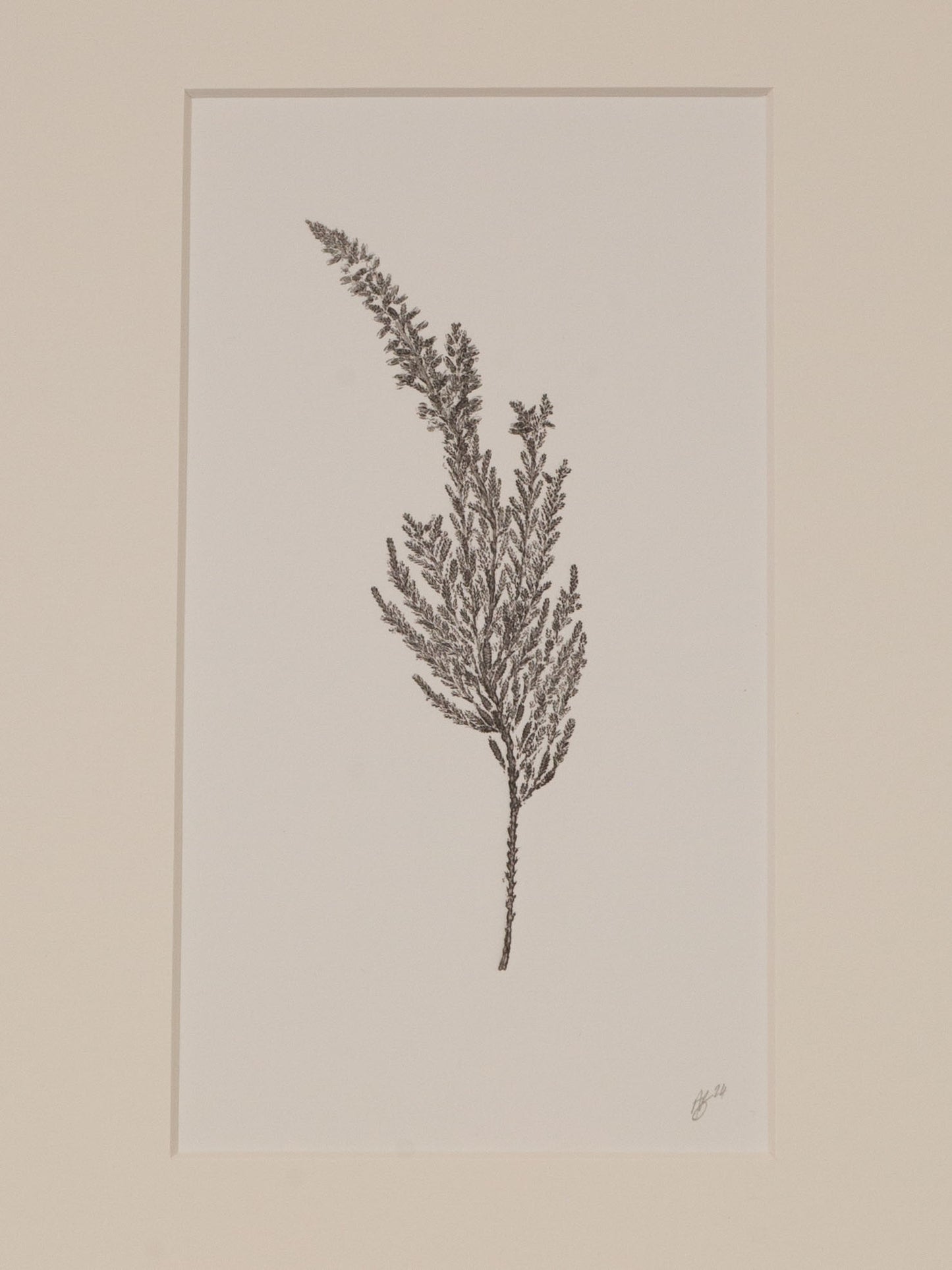 Heather - Monoprint - 1/1