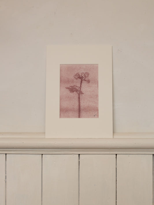 Cow Parsley 2, Mauve Ghost Monoprint