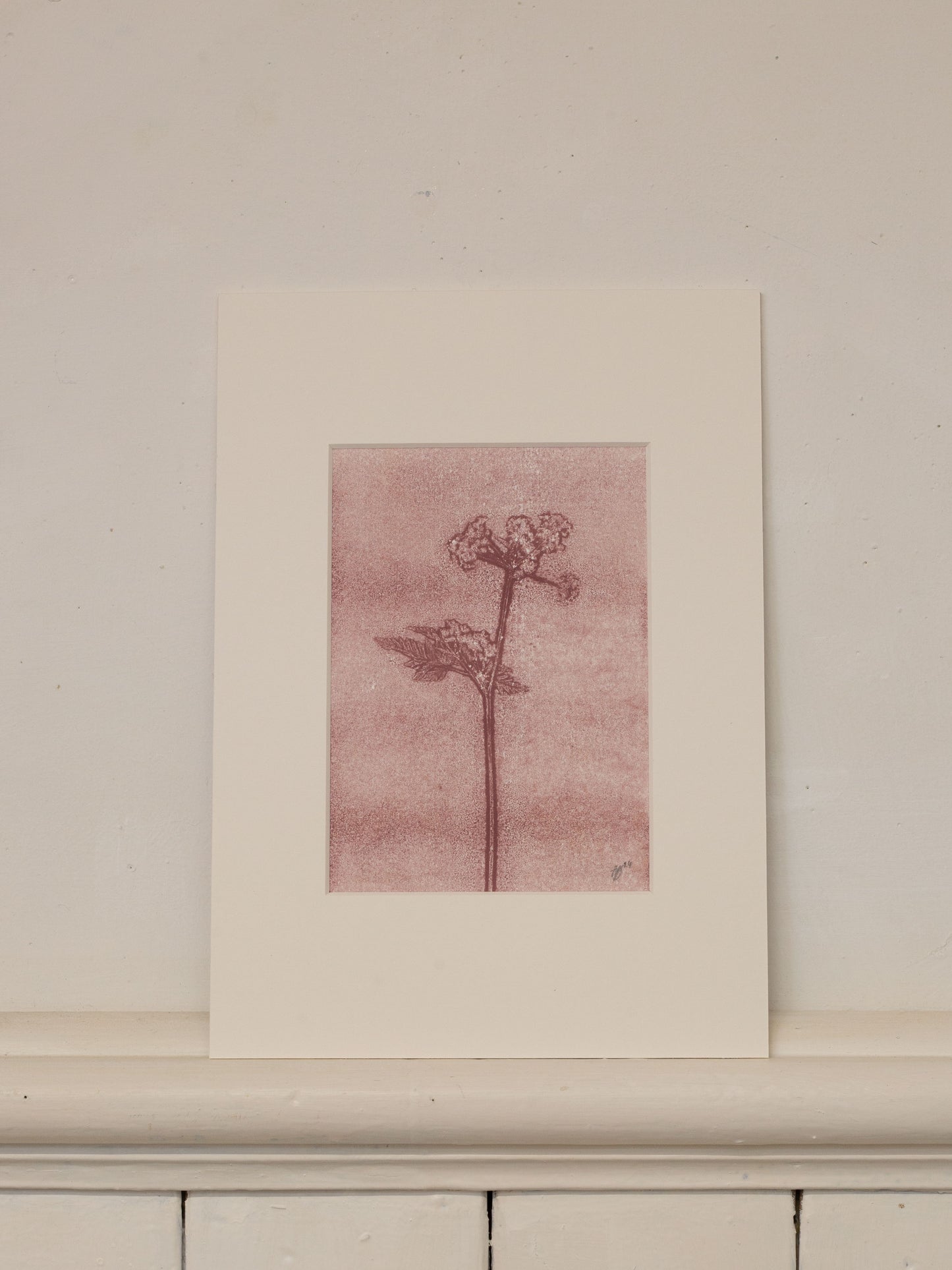 Cow Parsley 2, Mauve Ghost Monoprint