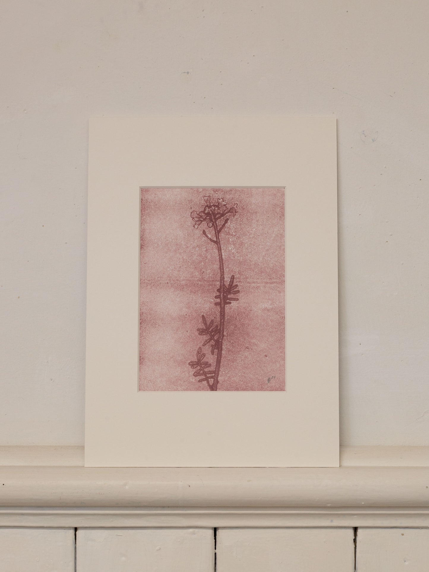 Cuckoo Flower 2, Mauve Ghost Print