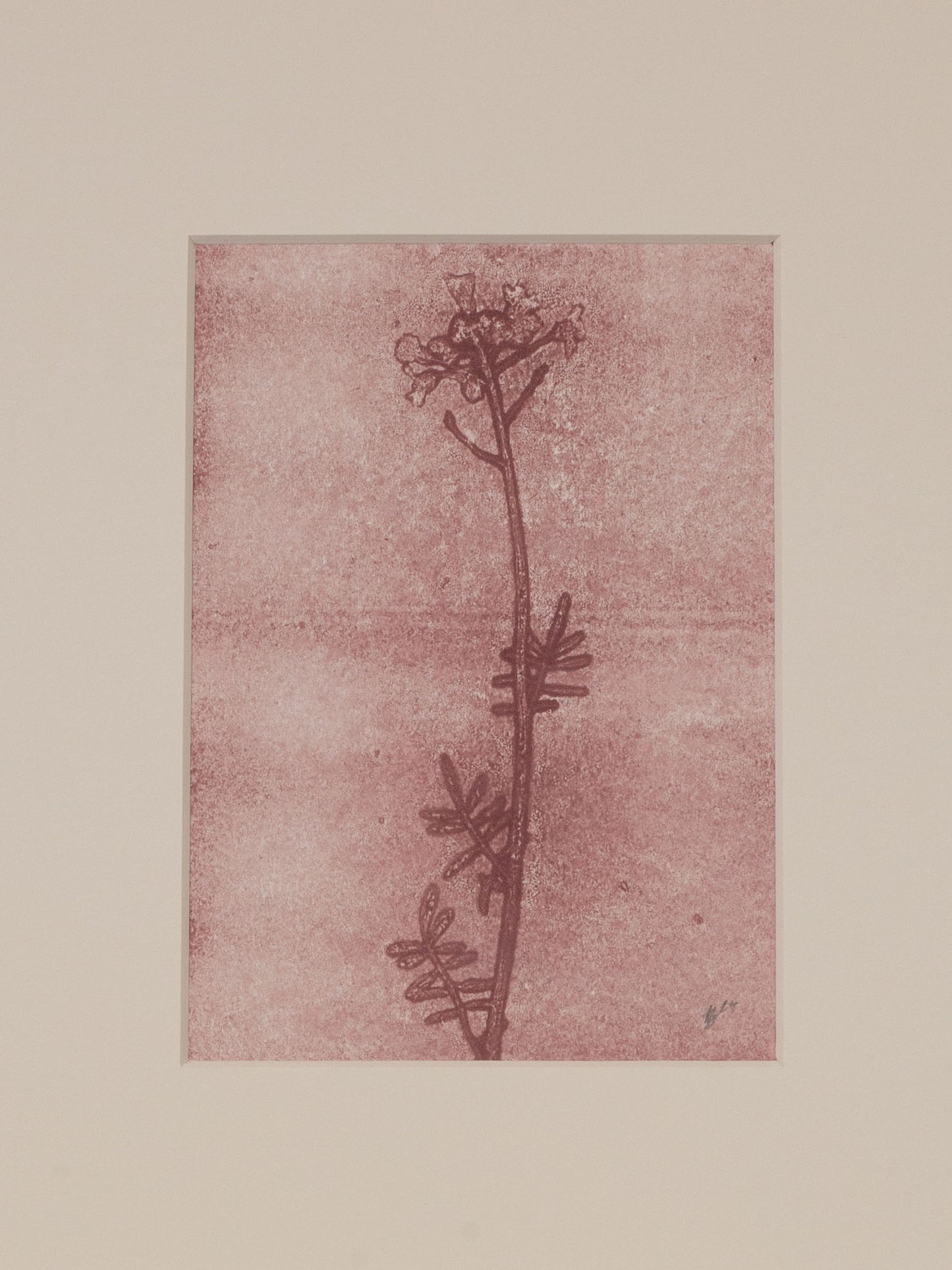 Cuckoo Flower 2, Mauve Ghost Print