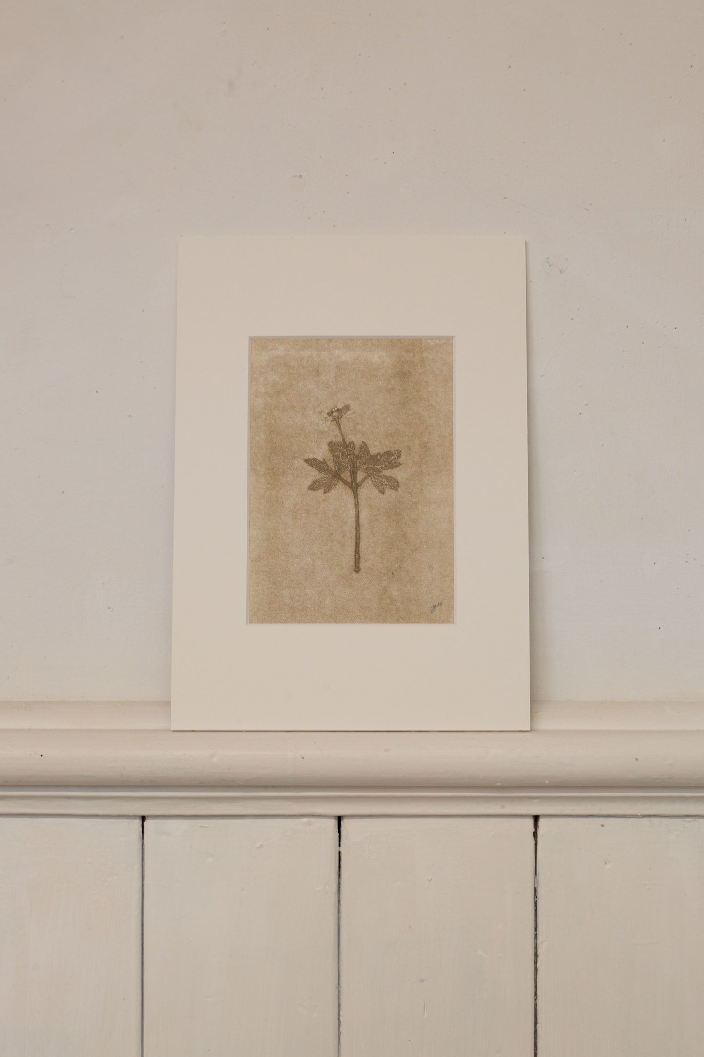Wood Anemone 5, Ghost Monoprint, Original Botanical Print