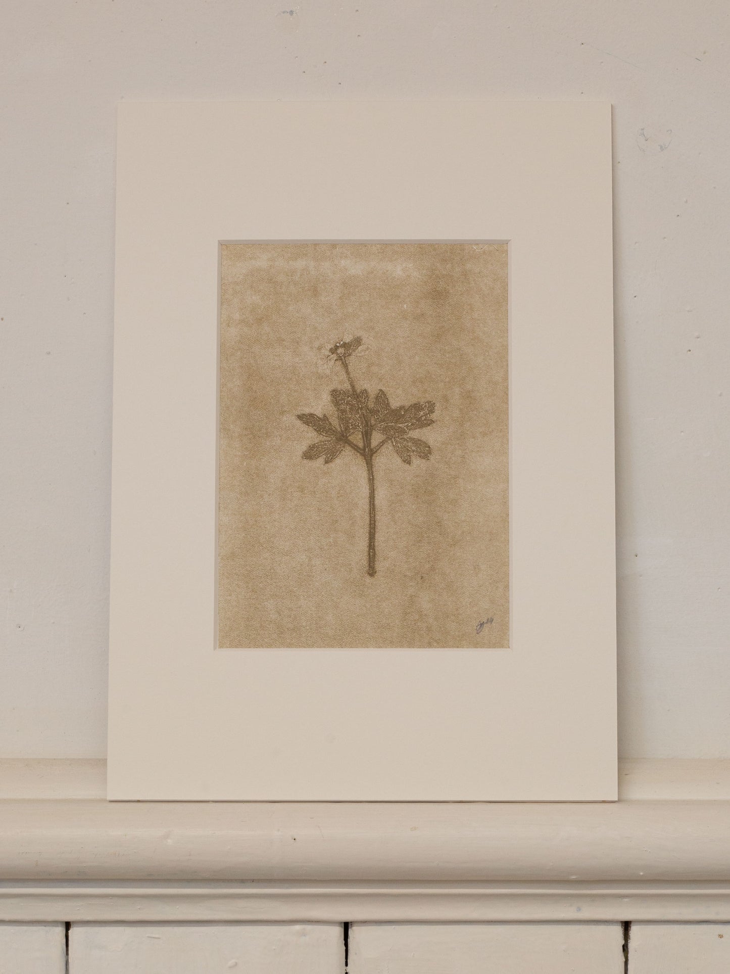 Wood Anemone 5, Ghost Monoprint, Original Botanical Print