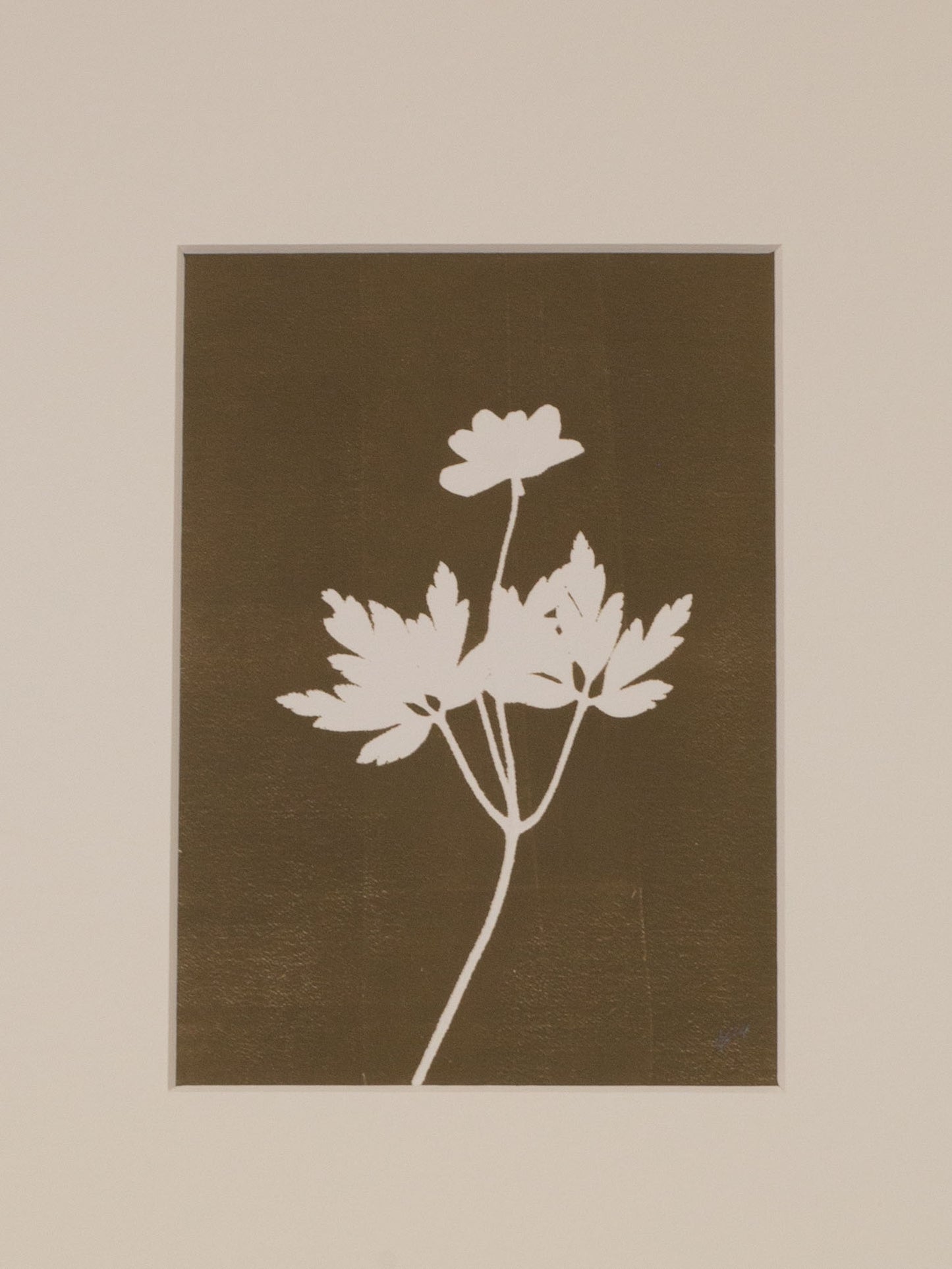 Wood Anemone 1, Monoprint, Original Botanical Print