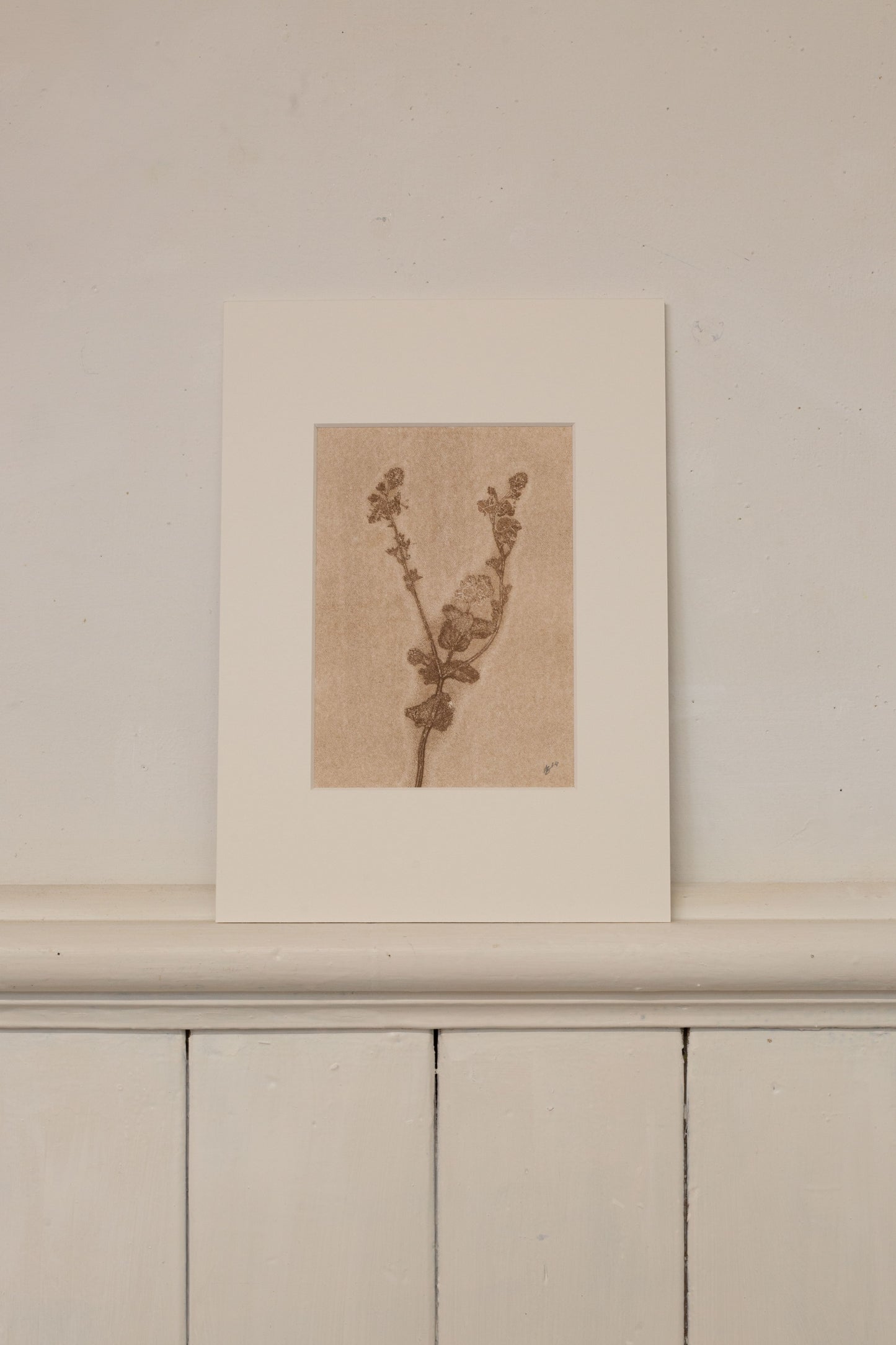 Speedwell 1, Ghost Monoprint, Original Botanical Print