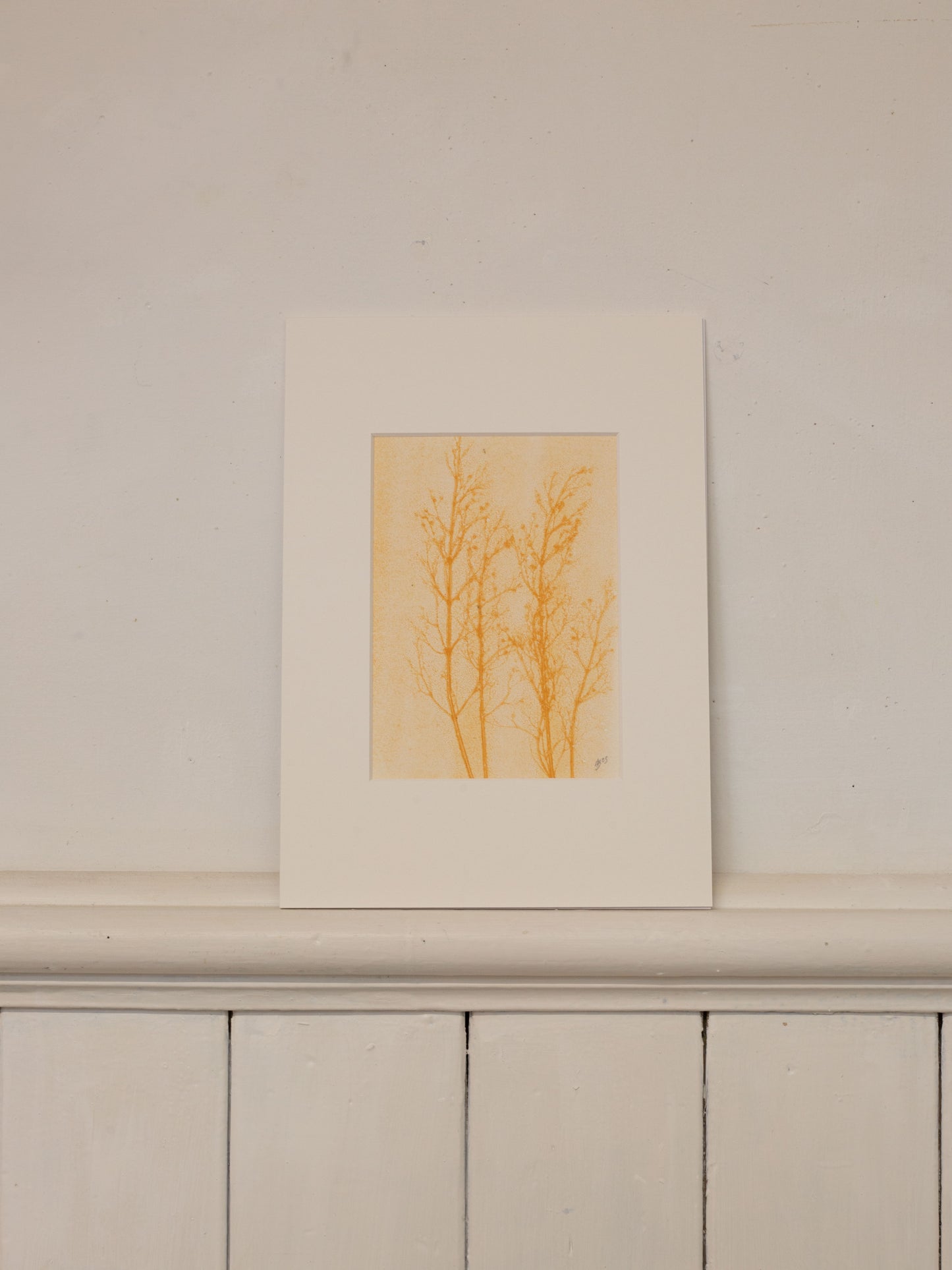 Grass Ghost 1, Botanical Monoprint 1/1