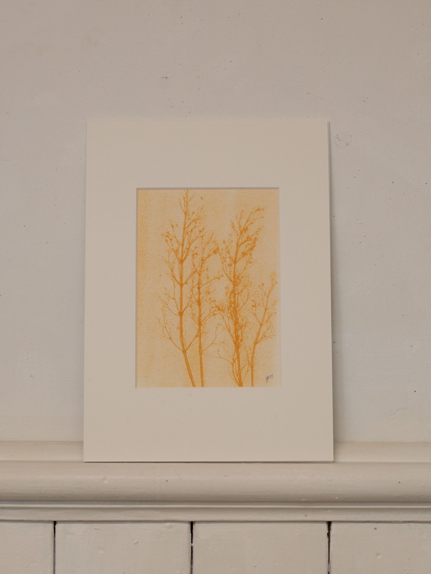 Grass Ghost 1, Botanical Monoprint 1/1