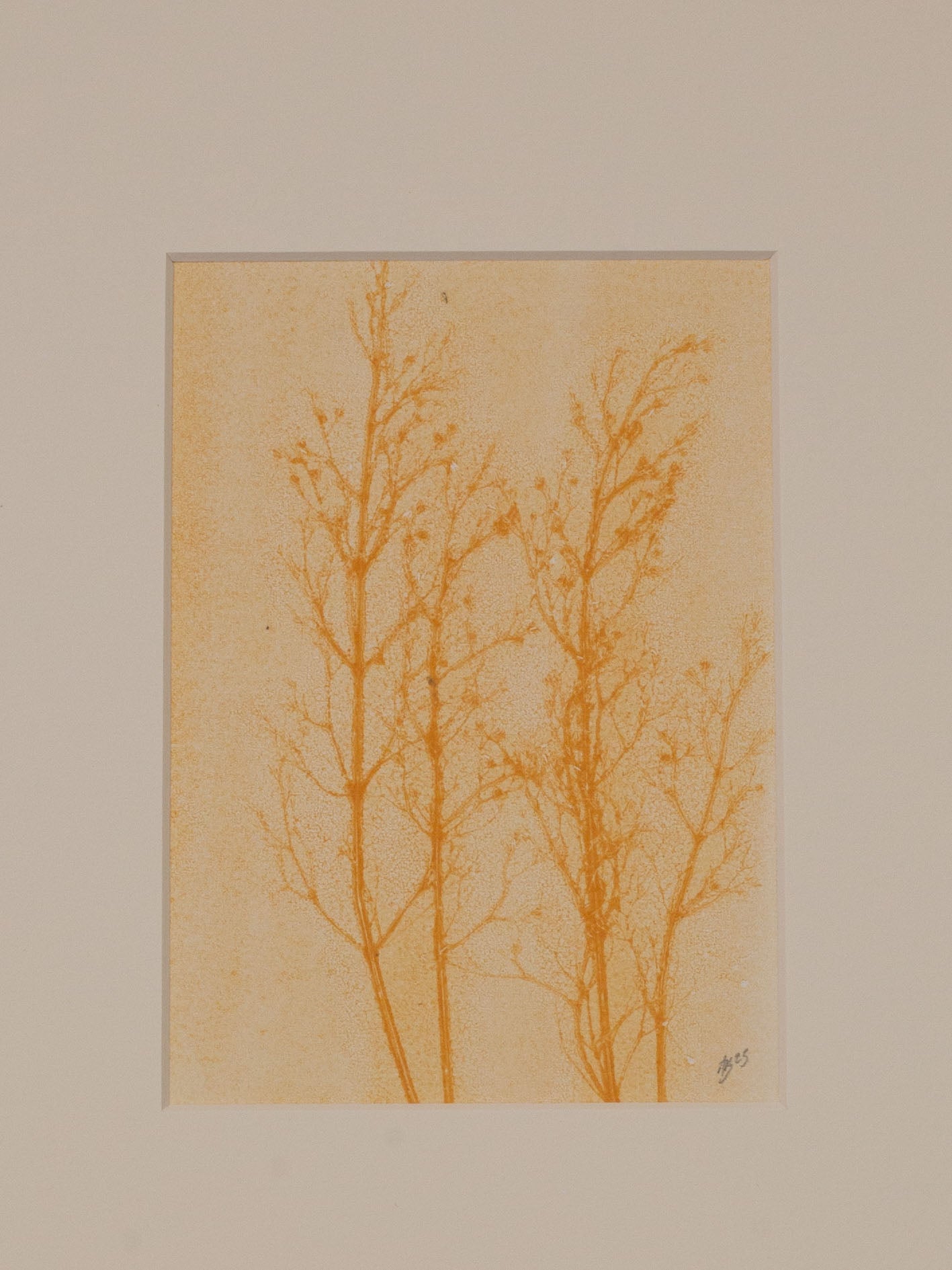 Grass Ghost 1, Botanical Monoprint 1/1