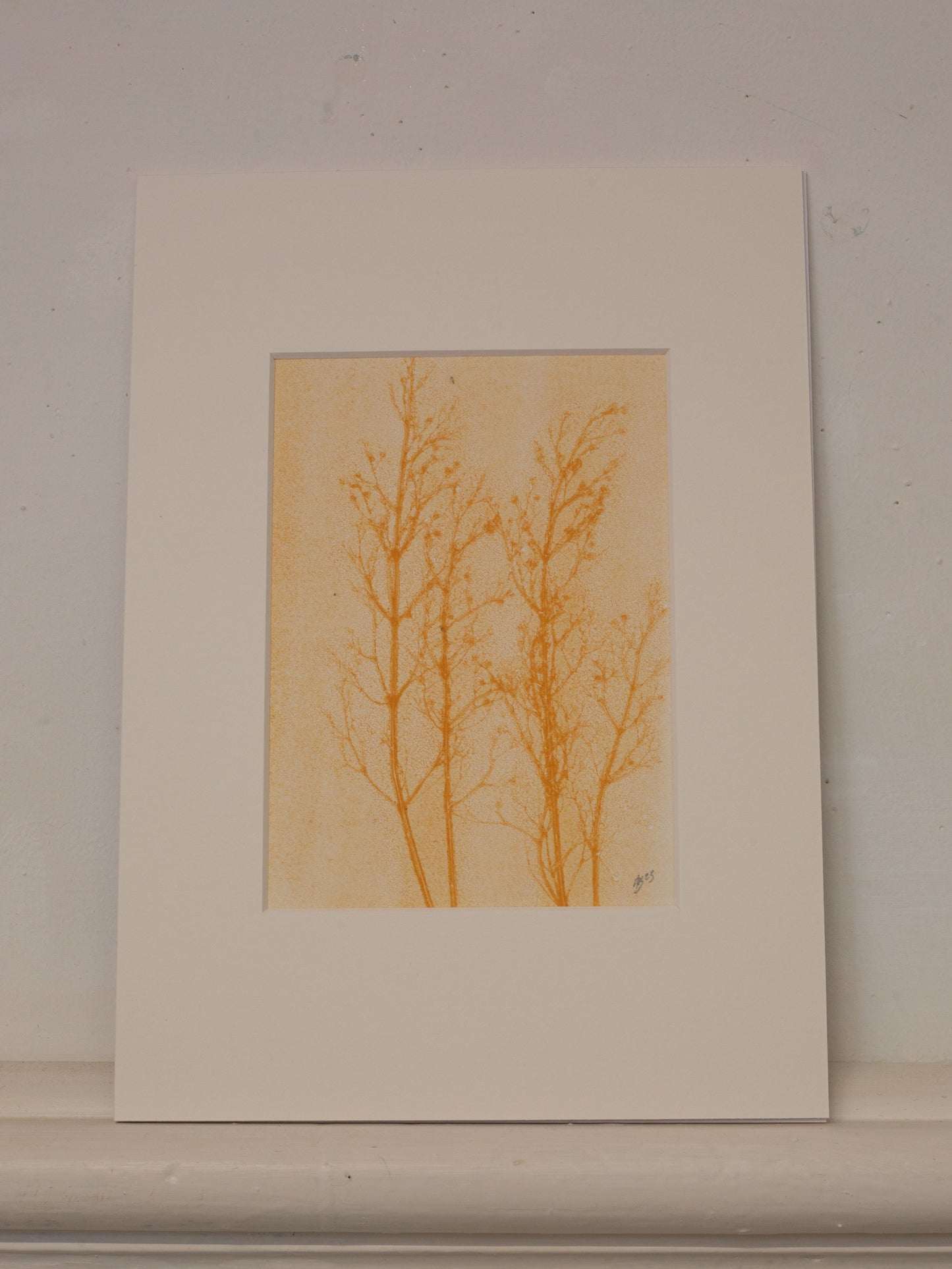 Grass Ghost 1, Botanical Monoprint 1/1