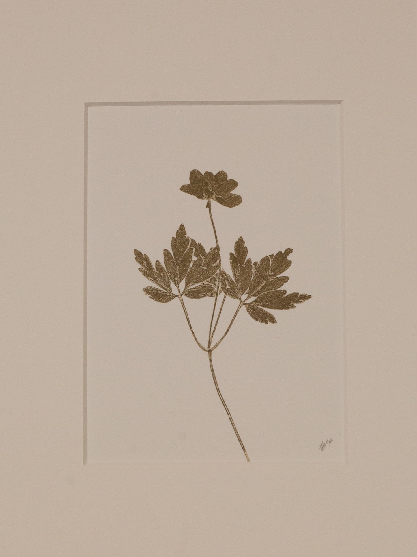 Wood Anemone 3, Monoprint, Original Botanical Print