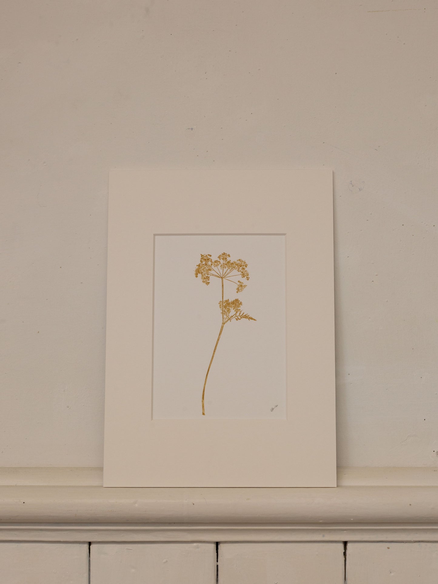 Cow Parsley 2, Yellow Ochre Monoprint