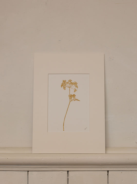Cow Parsley 2, Yellow Ochre Monoprint