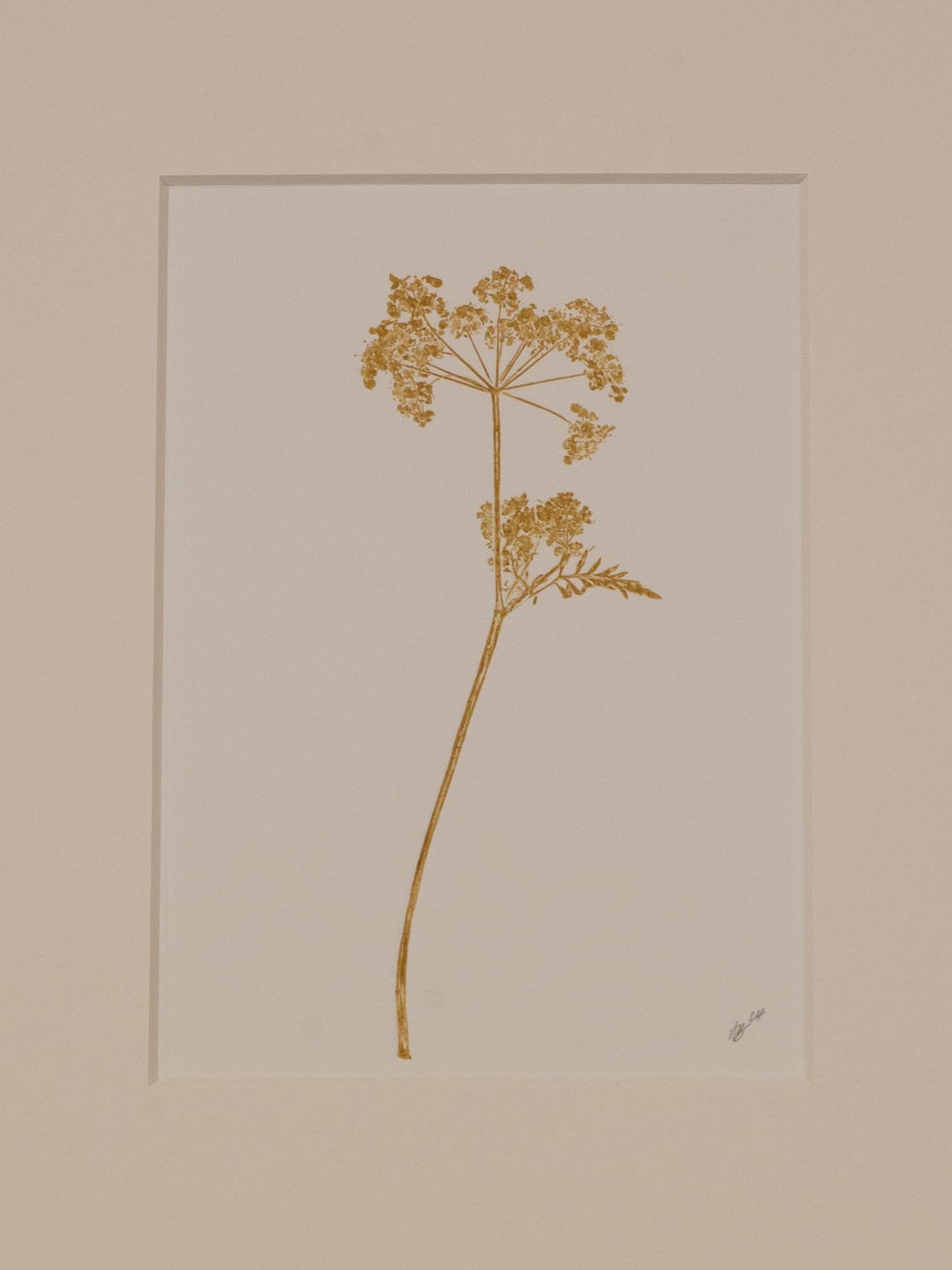 Cow Parsley 2, Yellow Ochre Monoprint
