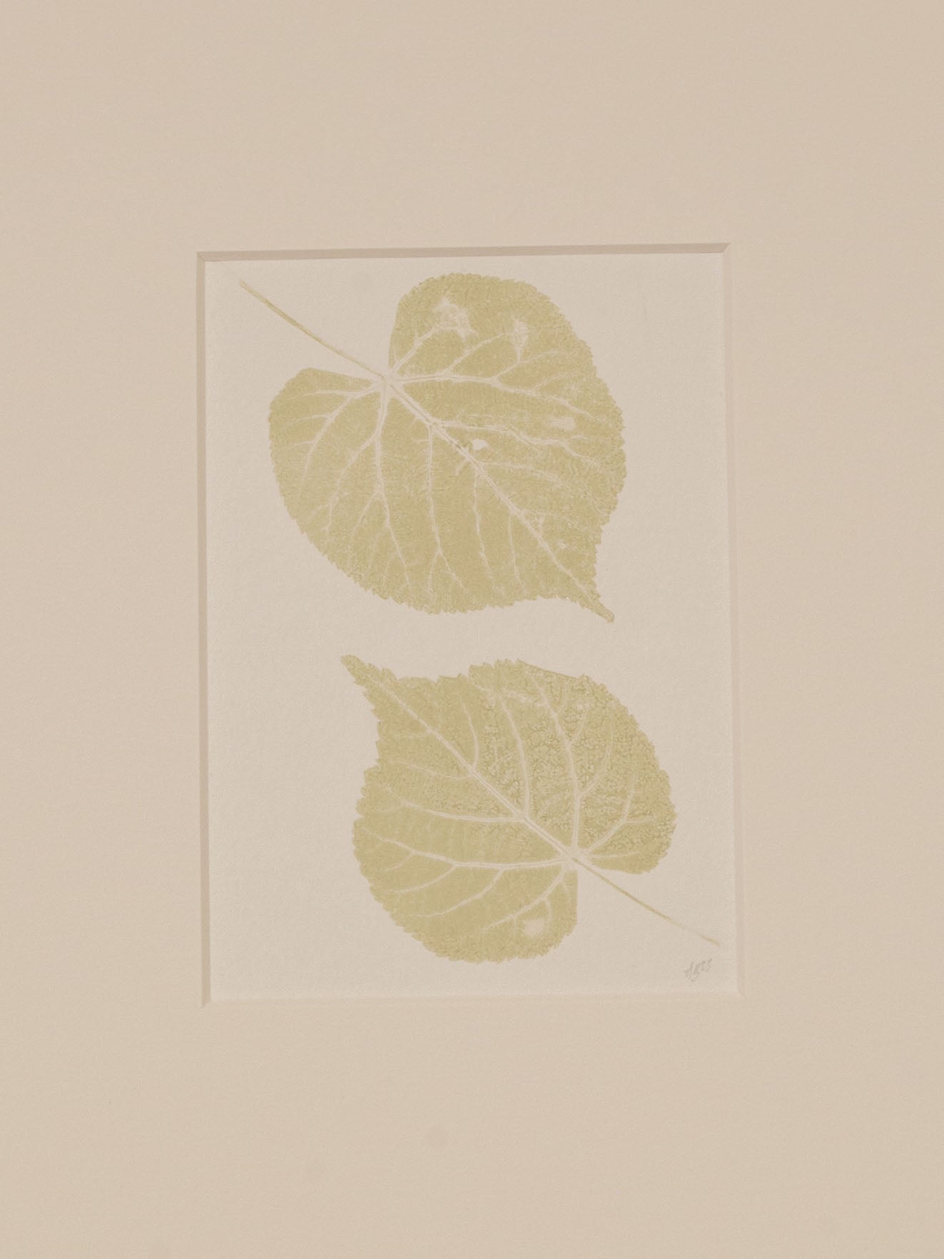 Lime Leaves 02 Sage, Botanical Monoprint 1/1