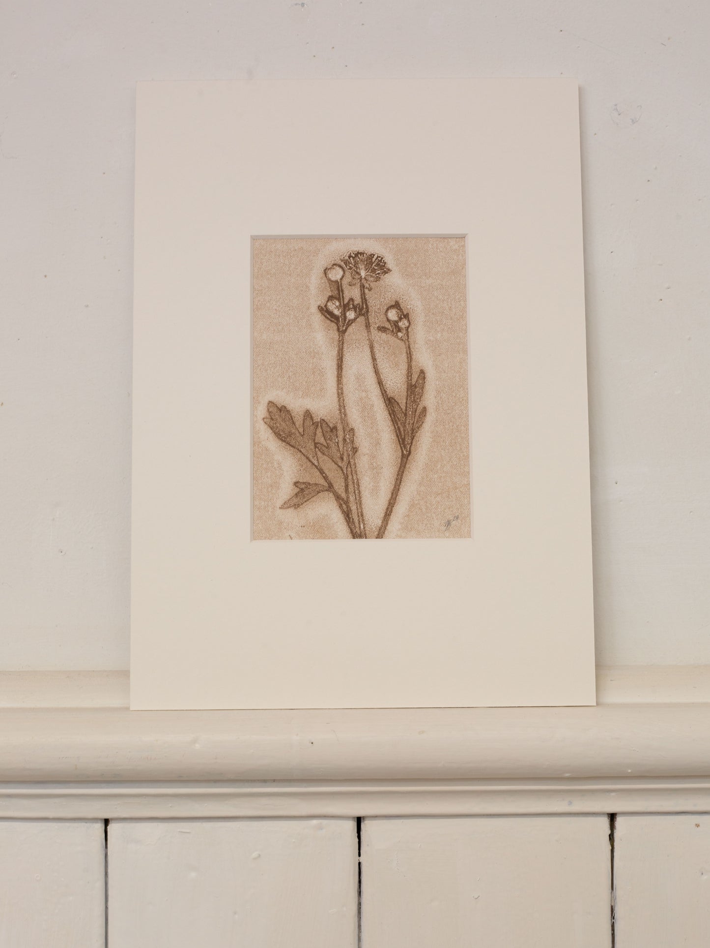 Buttercup Botanical Monoprint 1/1