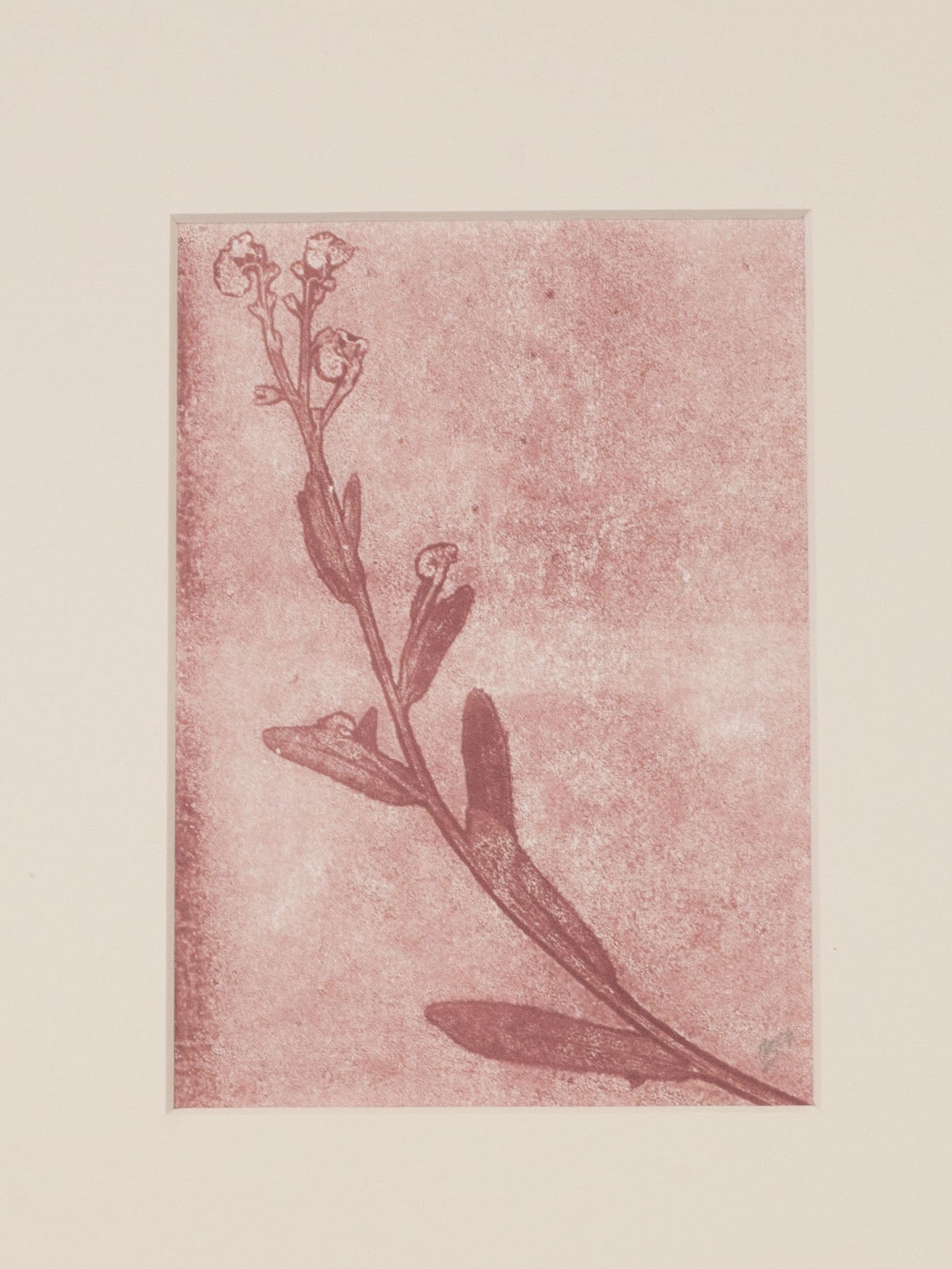 Forget-Me-Not 2, Mauve Ghost Monoprint