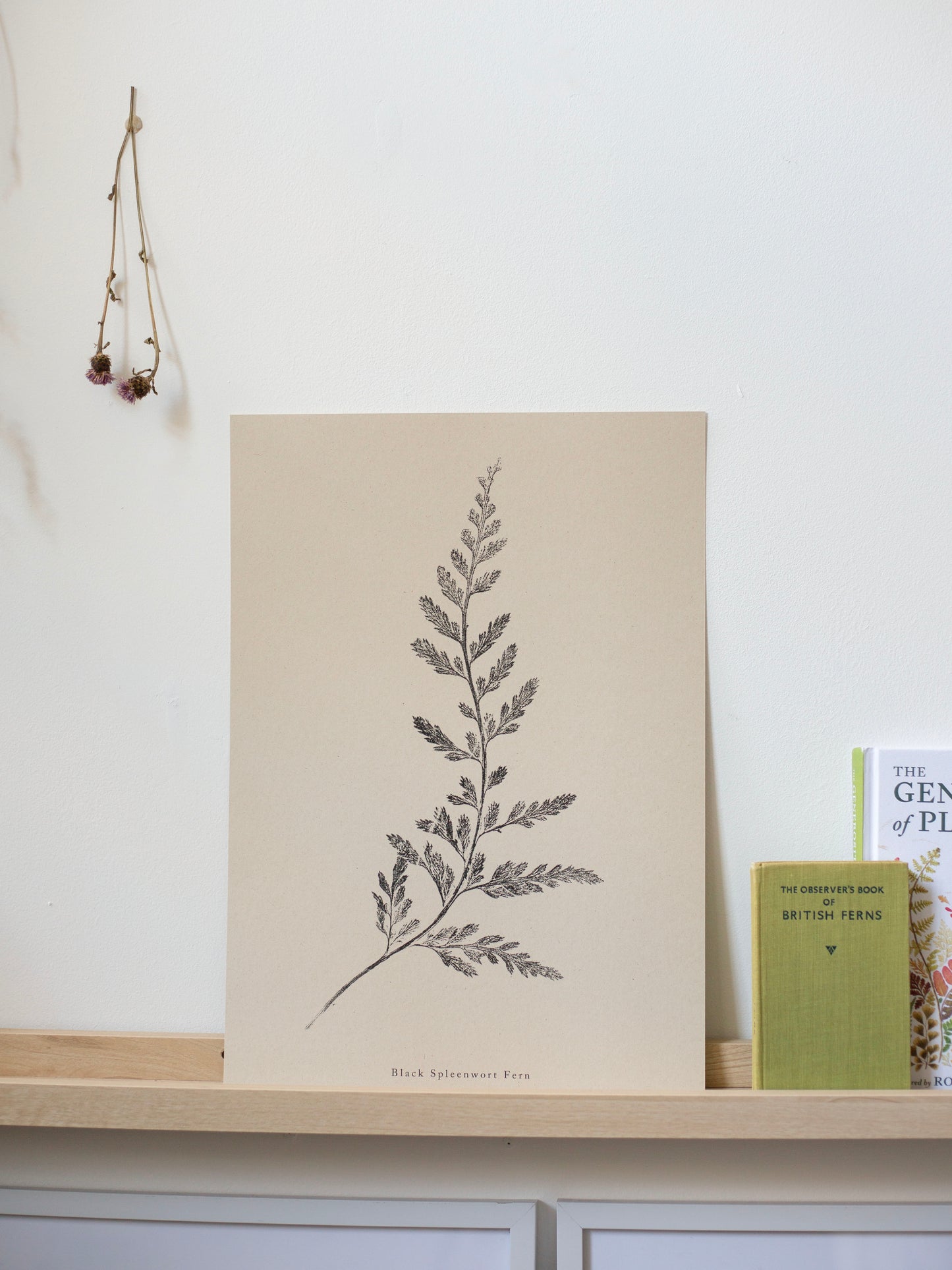 Fern Print- Botanical Art Print