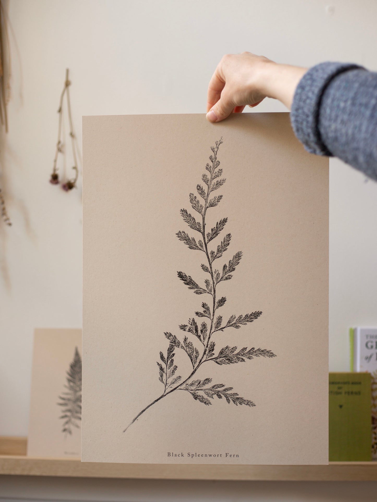 Fern Print- Botanical Art Print