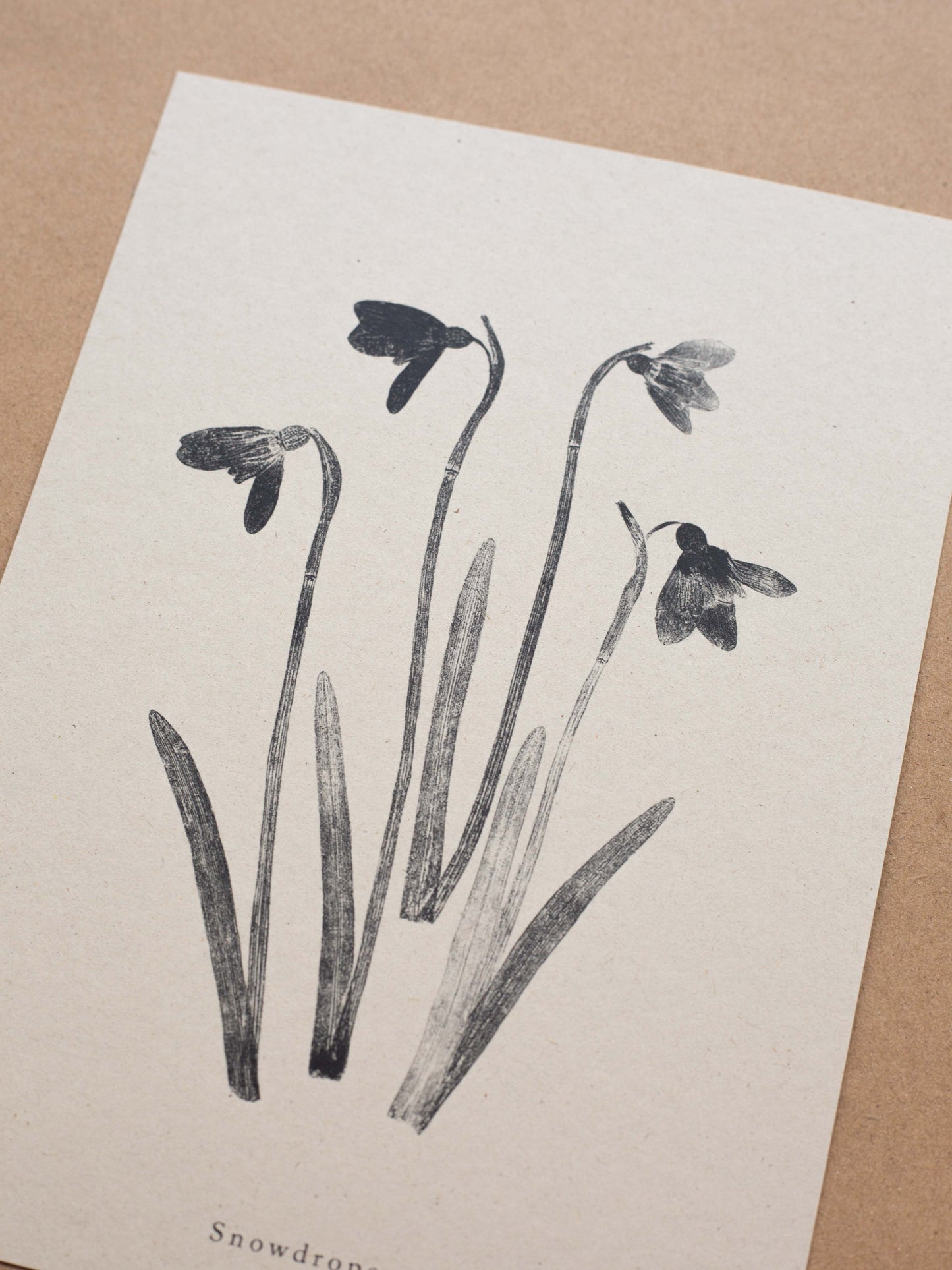 Snowdrops - Botanical Art Print
