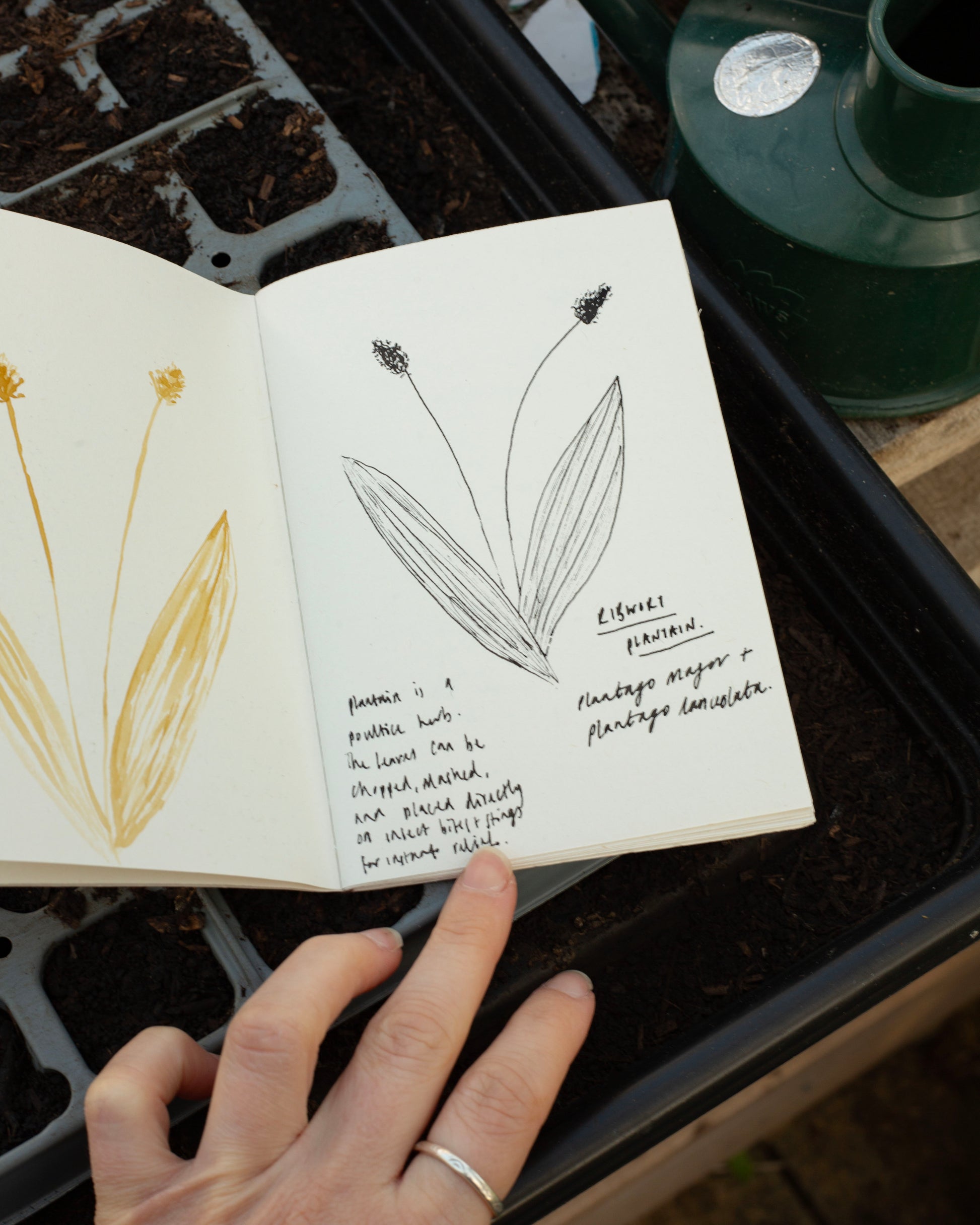 Drawing in the journal