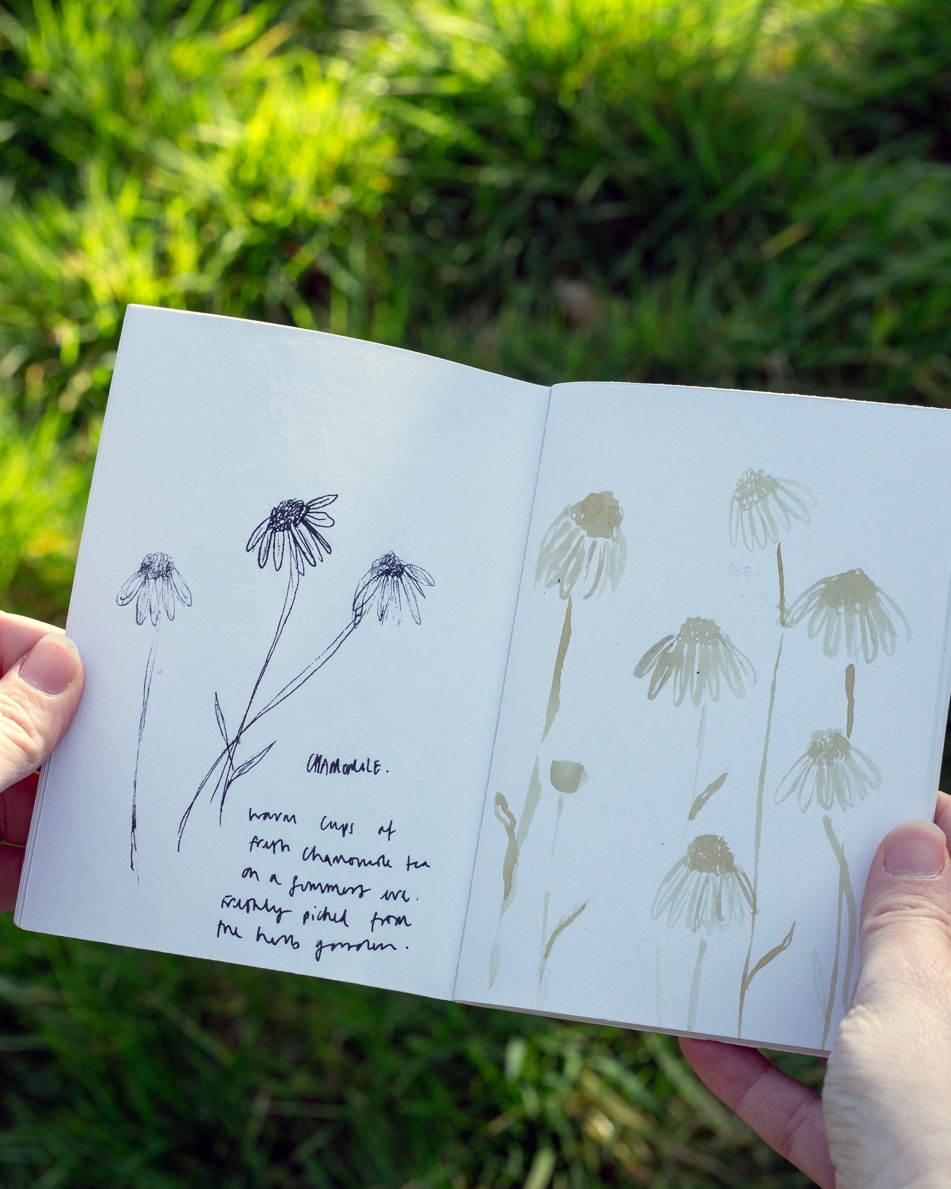 Drawings in the a6 notebook