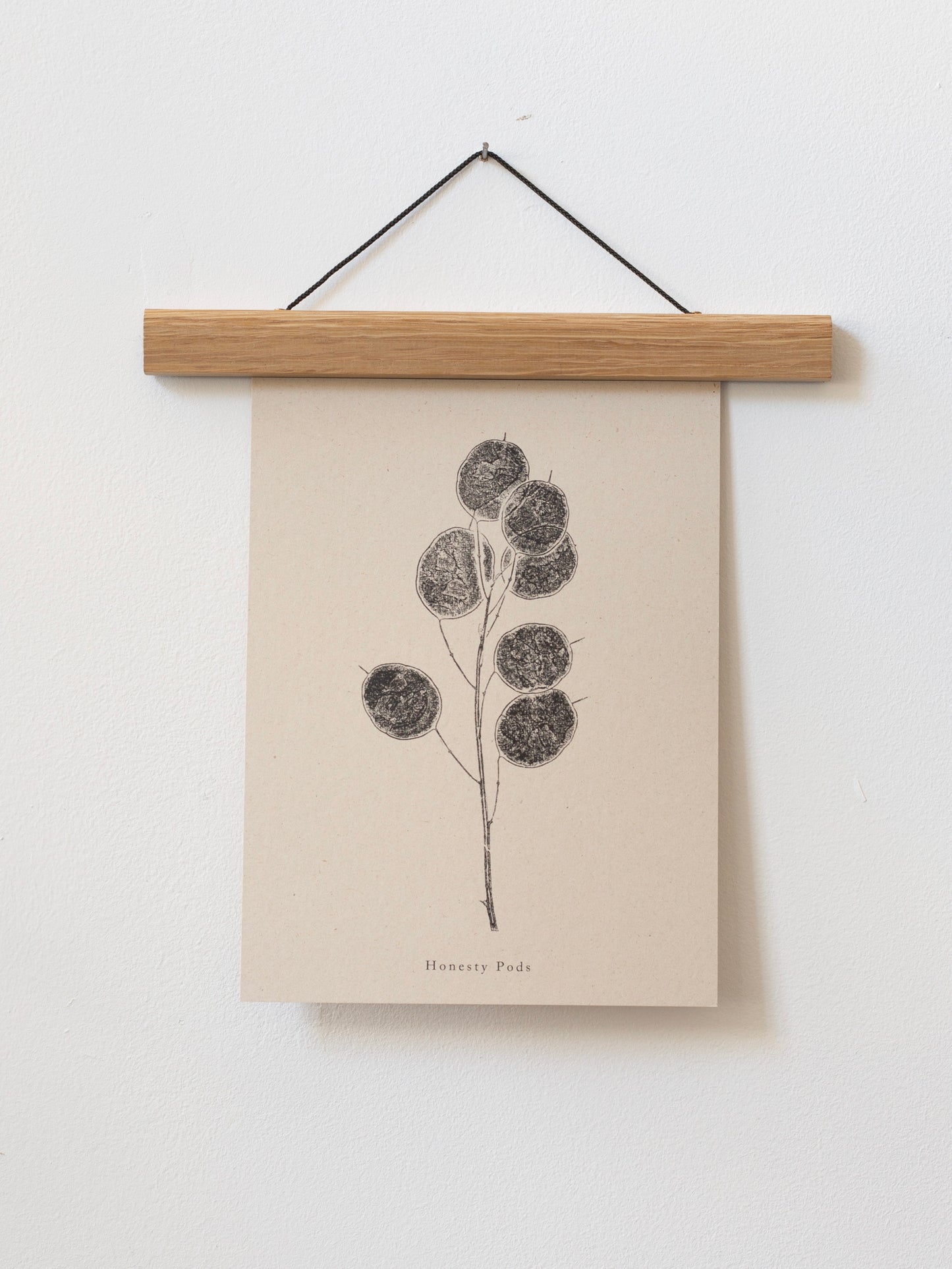 Honesty Pods - Botanical Art Print