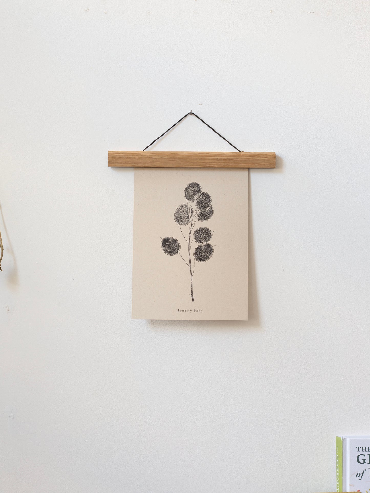 Honesty Pods - Botanical Art Print