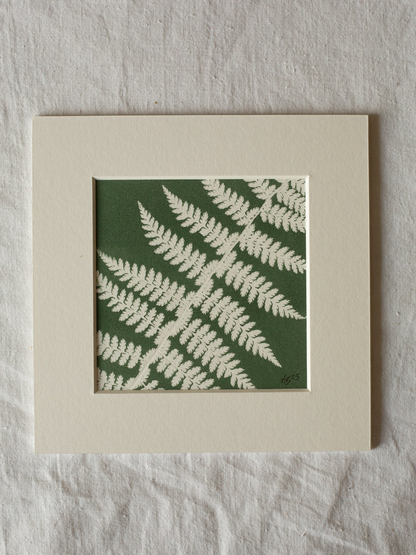 Fern 1 - Mounted Square Botanical Monoprint
