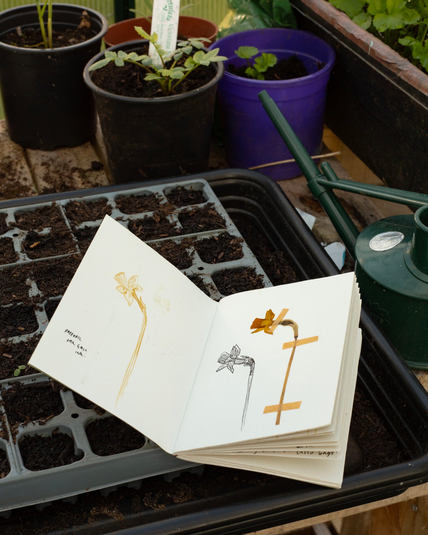 A6 Pocket notebook