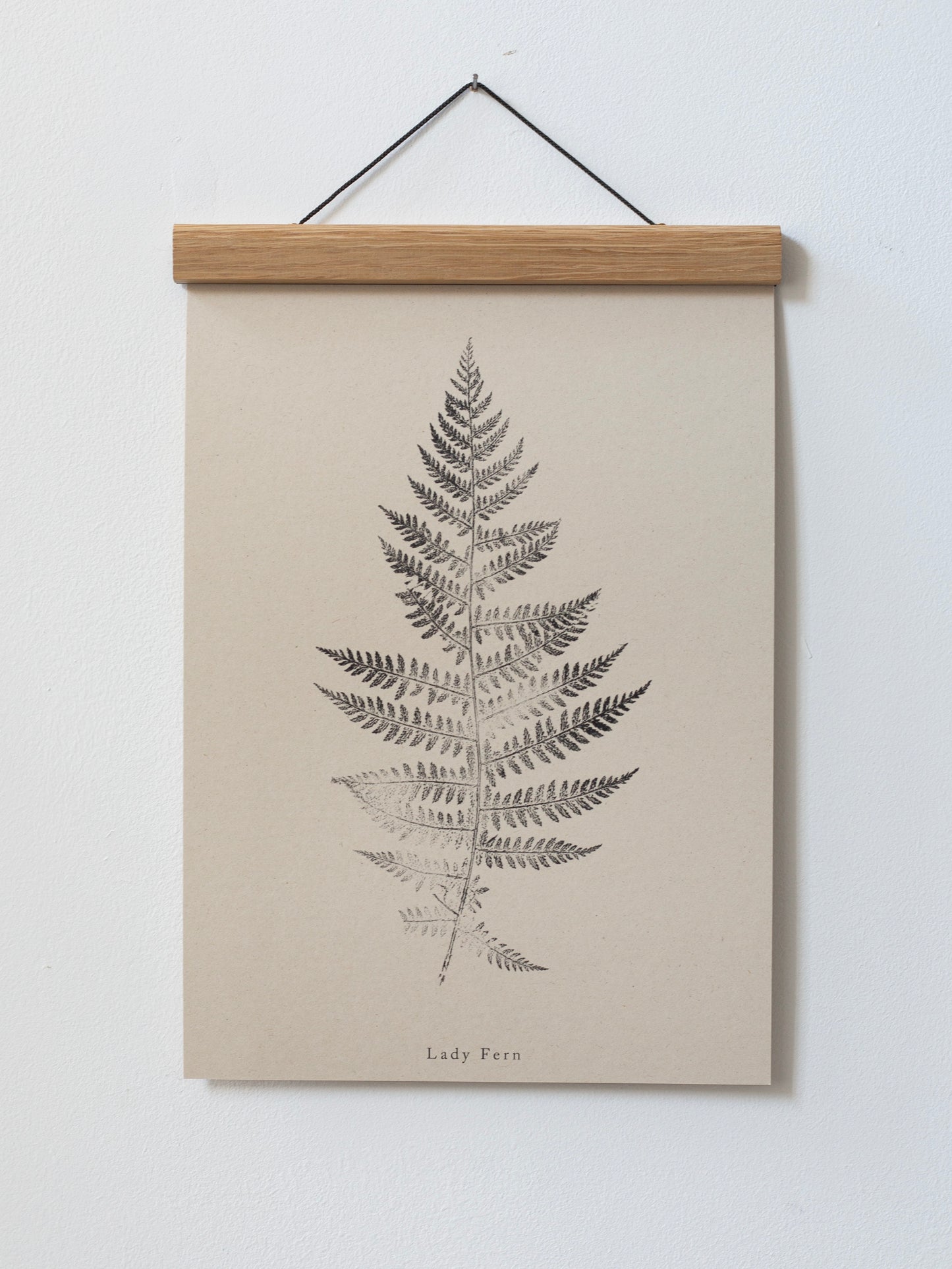 Botanical Art Print - Fern Print - Lady Fern - Wall Art A5, A4, A3