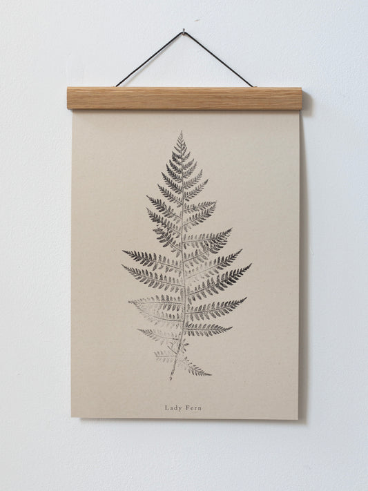Botanical Art Print - Fern Print - Lady Fern - Wall Art A5, A4, A3