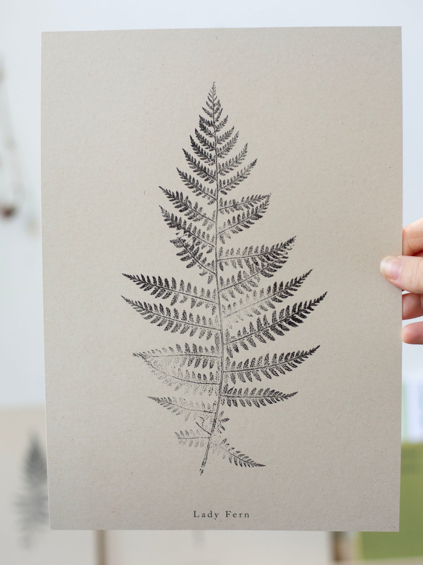 Botanical Art Print - Fern Print - Lady Fern - Wall Art A5, A4, A3