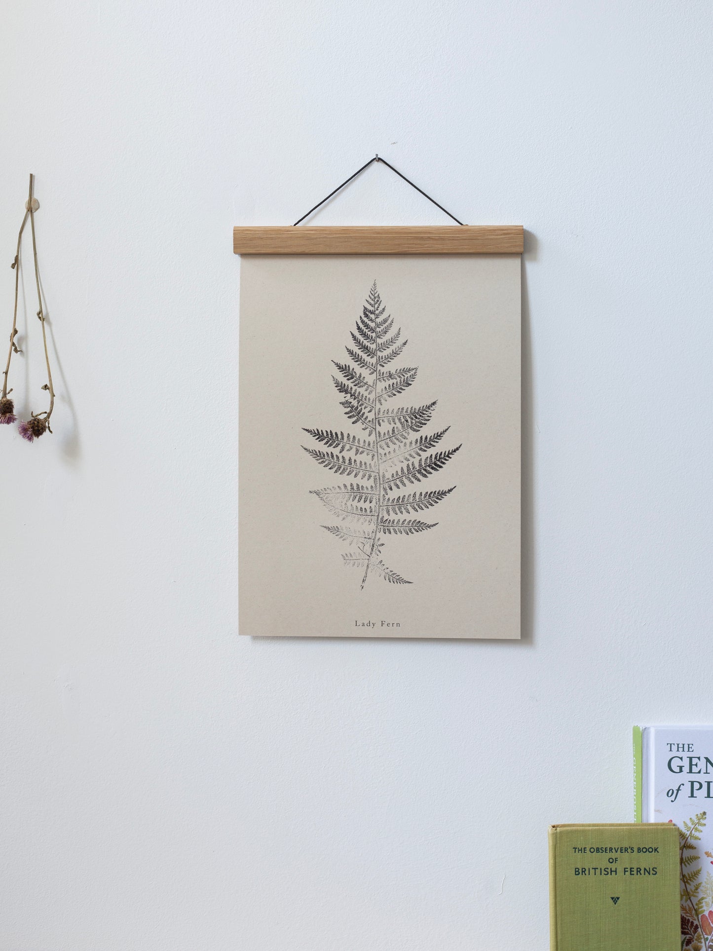 Botanical Art Print - Fern Print - Lady Fern - Wall Art A5, A4, A3