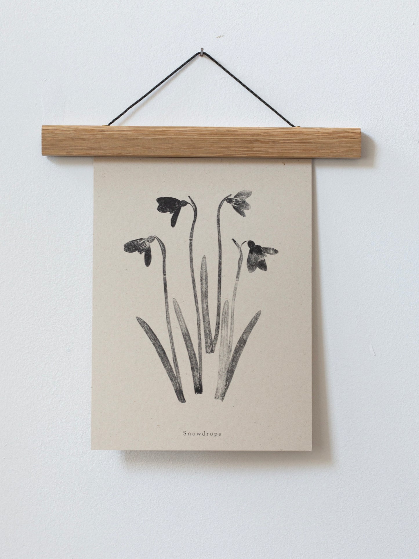 Snowdrops - Botanical Art Print