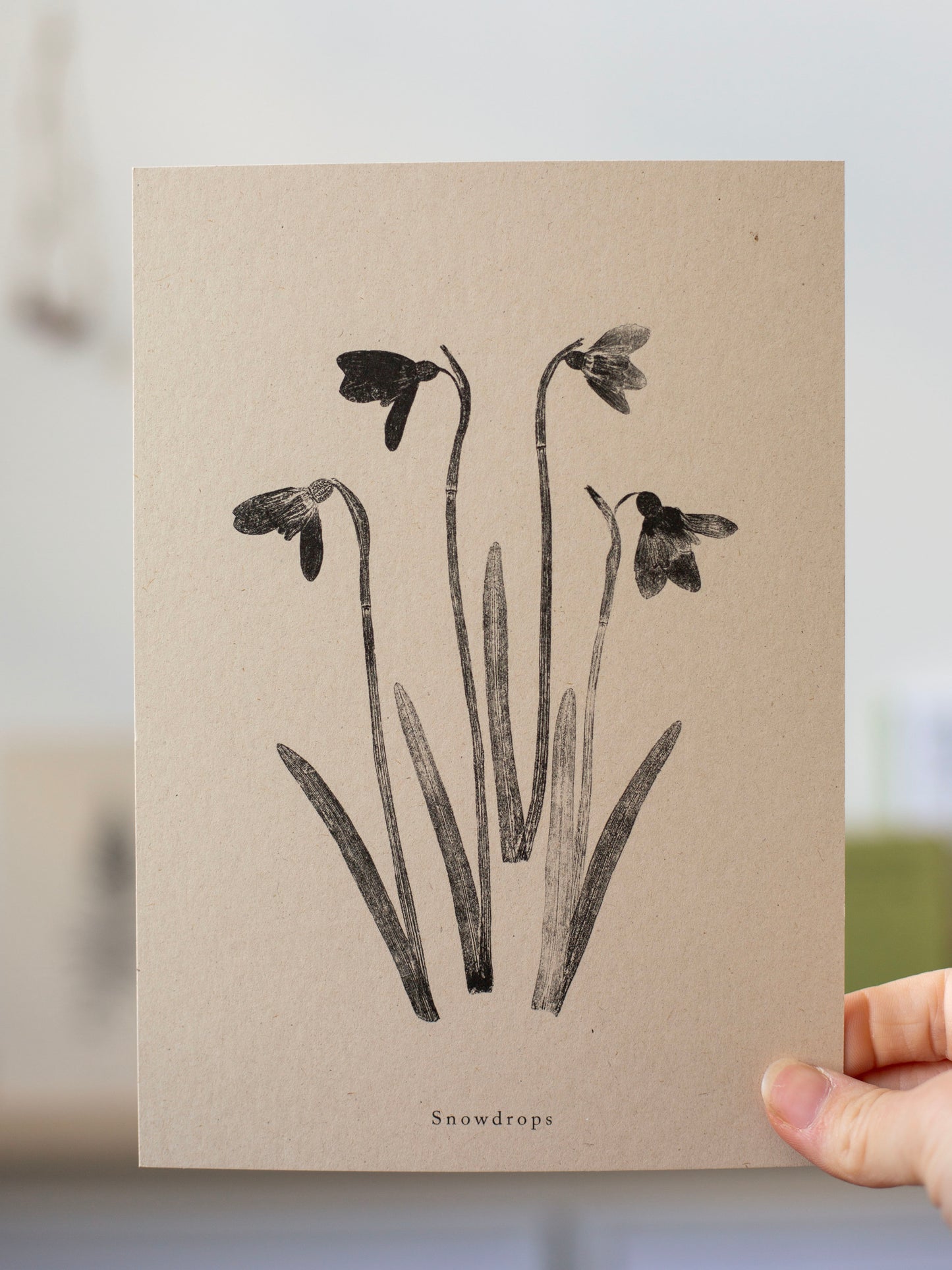 Snowdrops - Botanical Art Print
