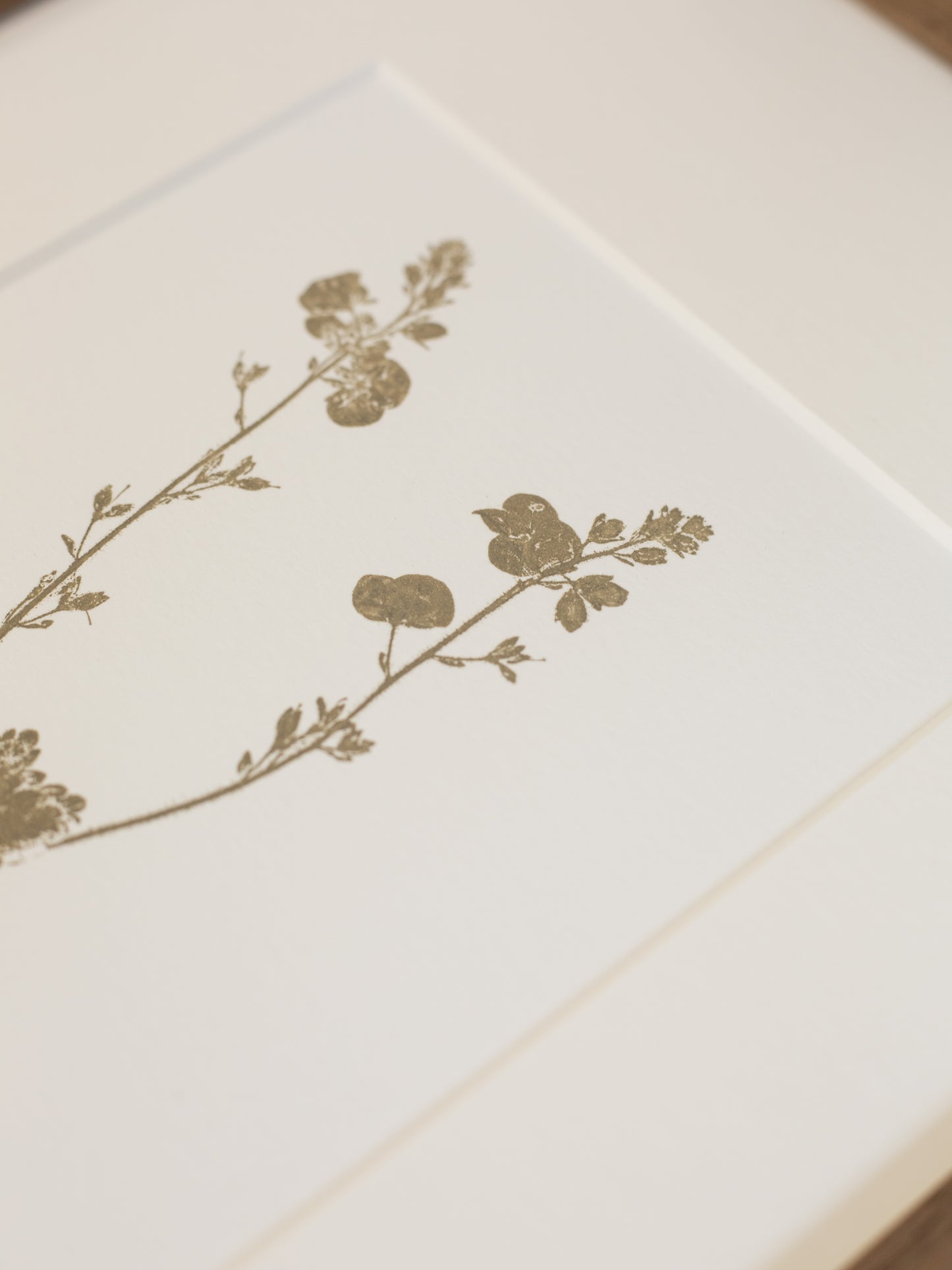 White paper with brown floral design on a white background