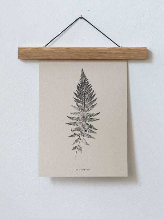Woodfern - Botanical Art Print