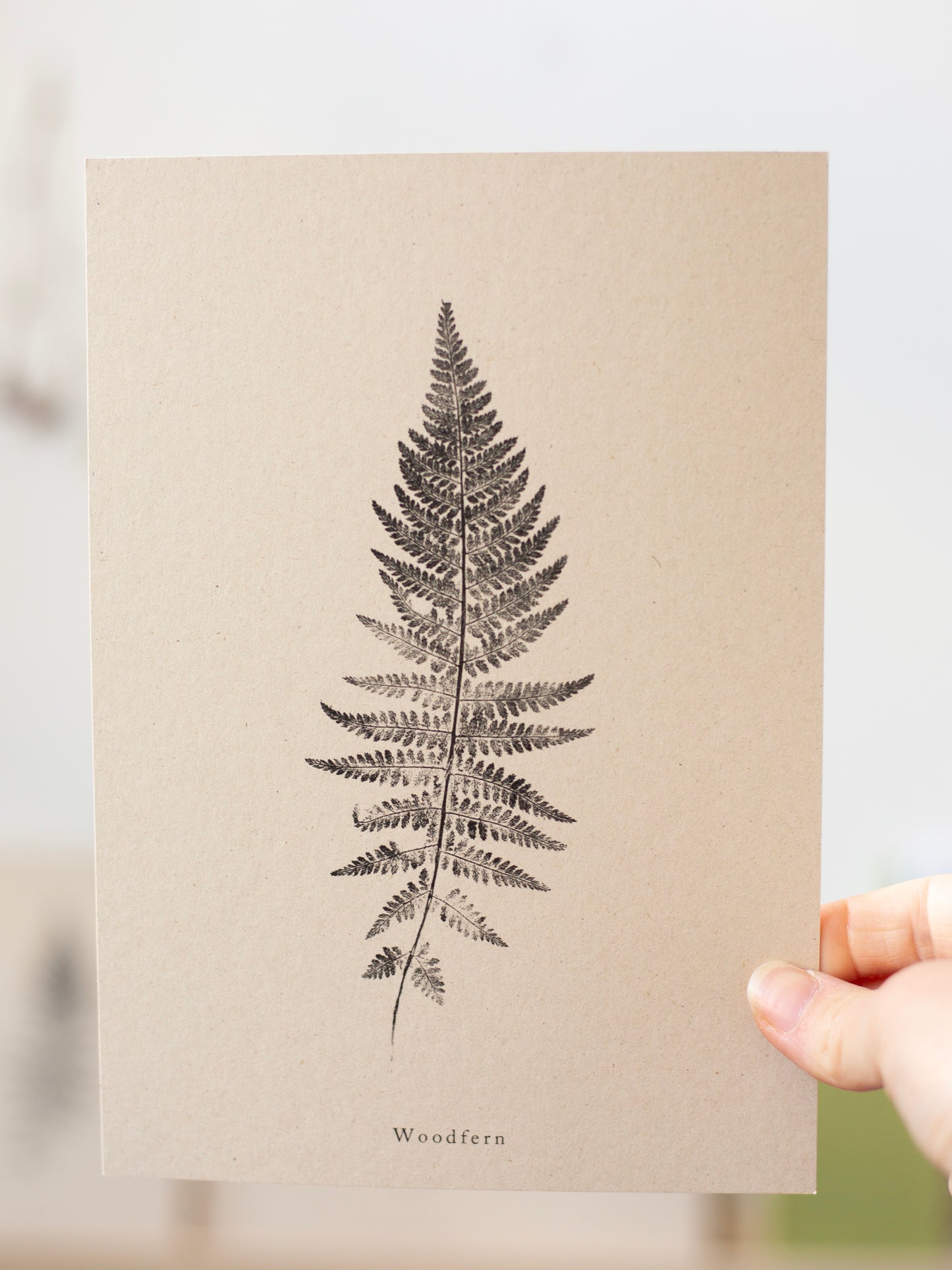 Woodfern - Botanical Art Print