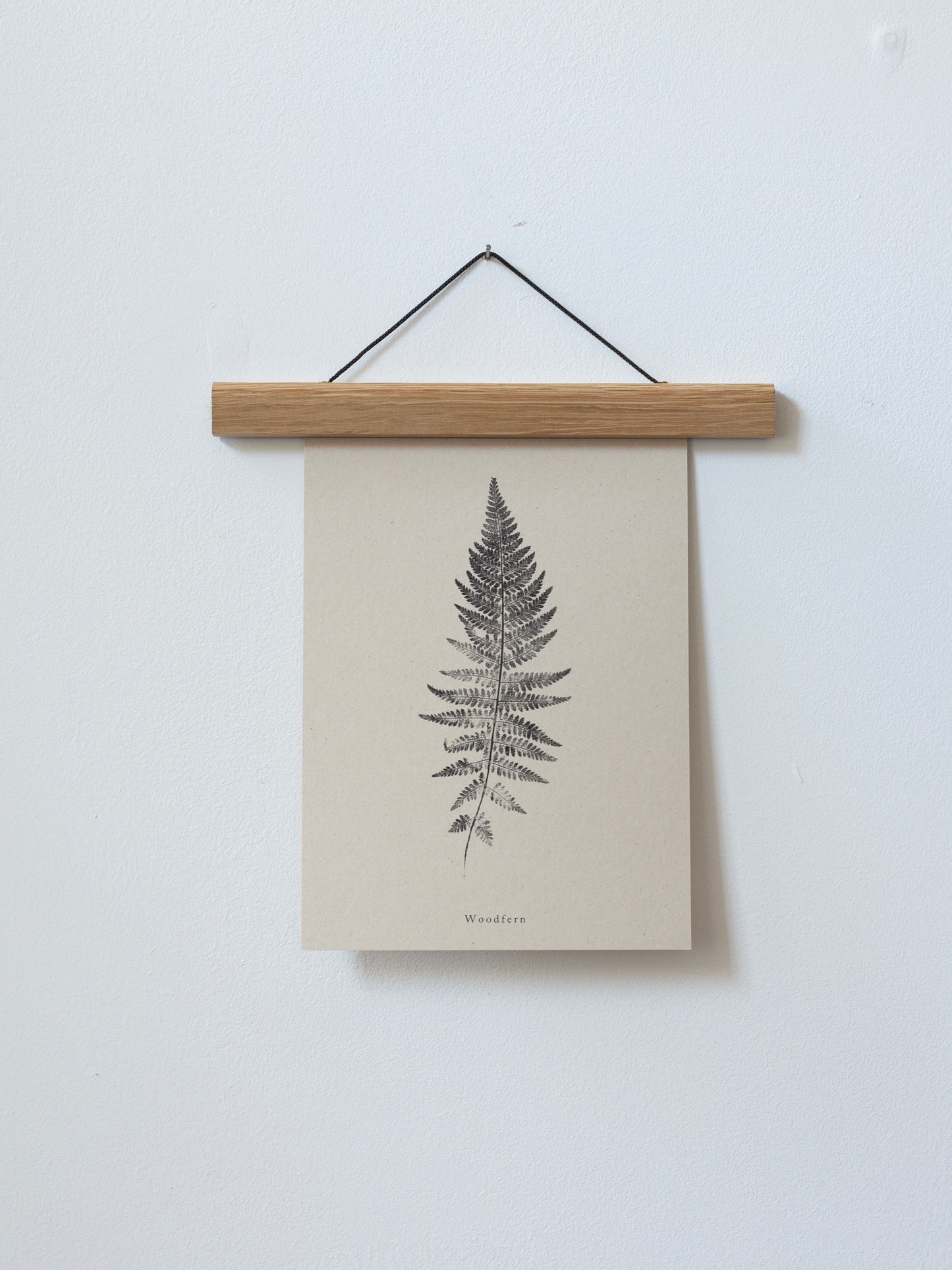 Woodfern - Botanical Art Print