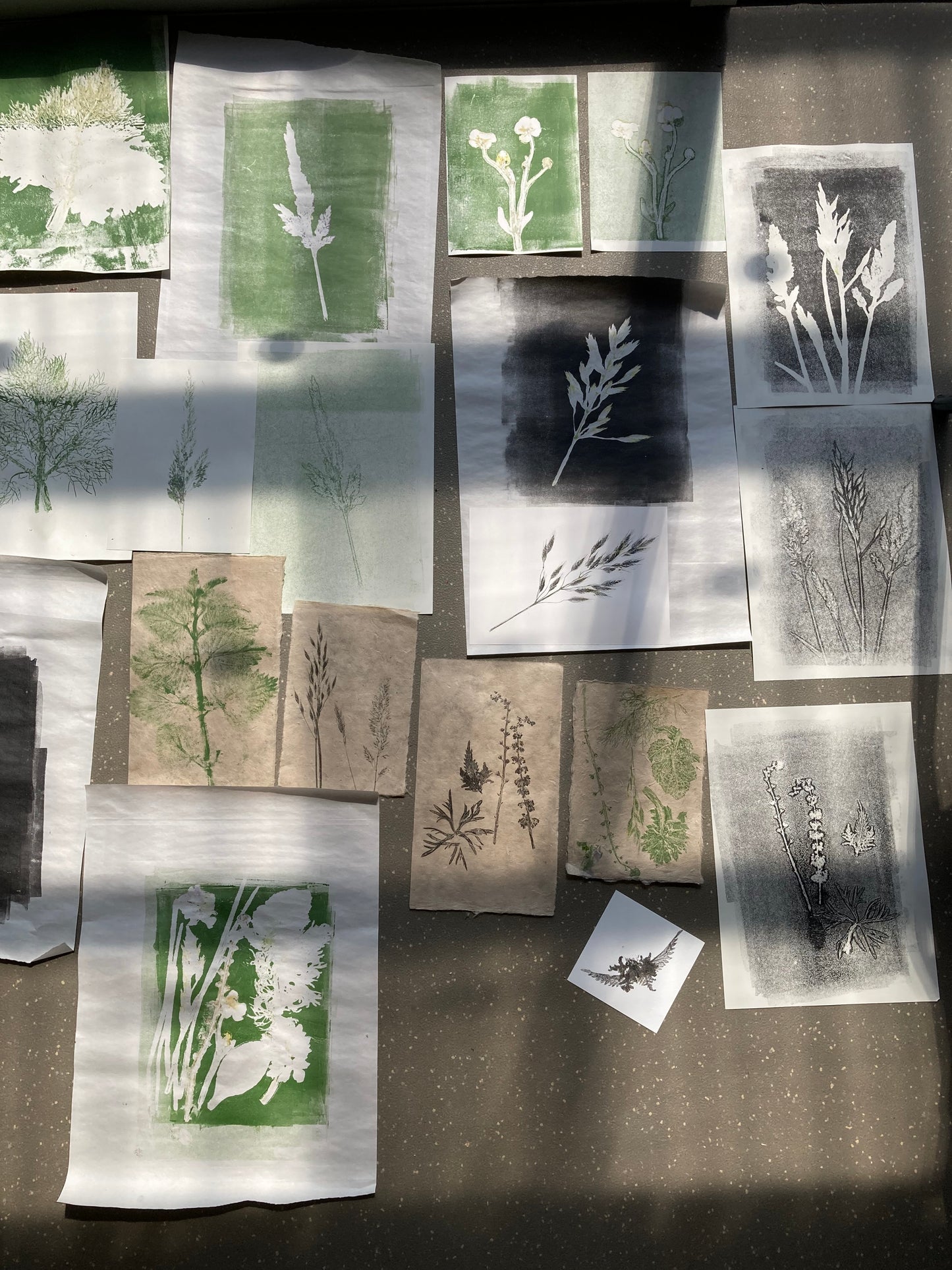 Nature Printmaking Workshop - Friday 13th June 2025
