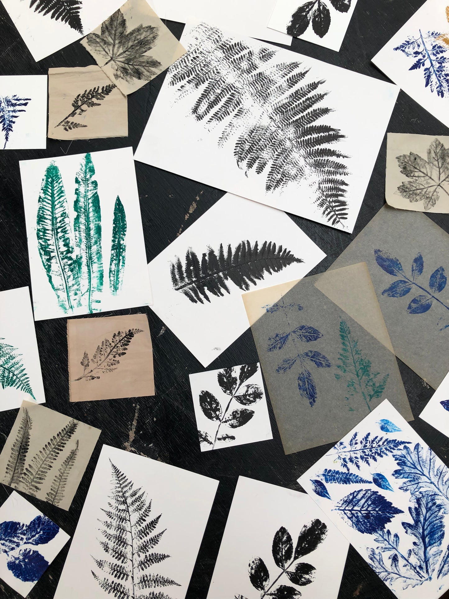 Nature Printmaking Workshop - Friday 13th June 2025