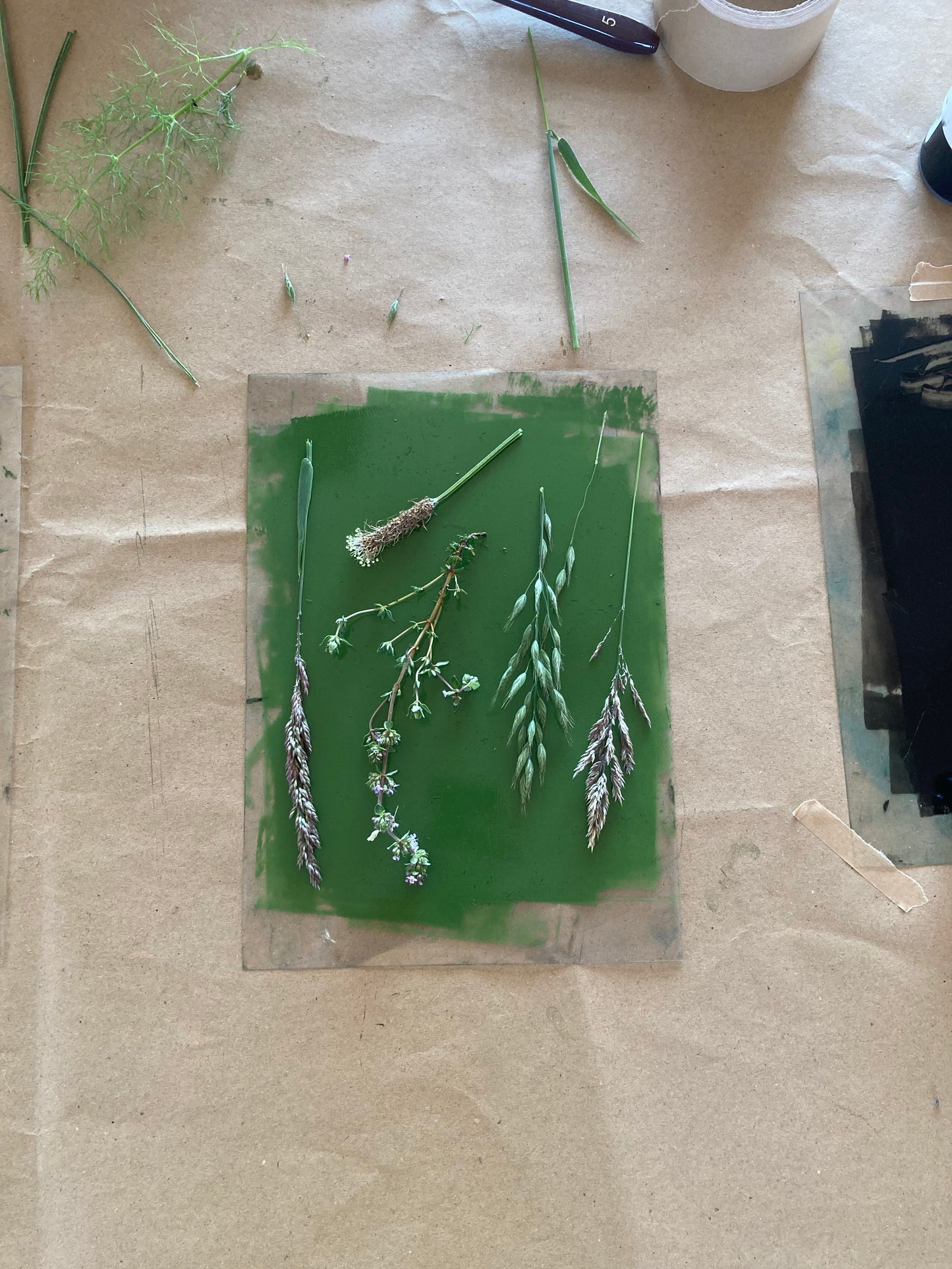 Nature Printmaking Workshop - Friday 13th June 2025