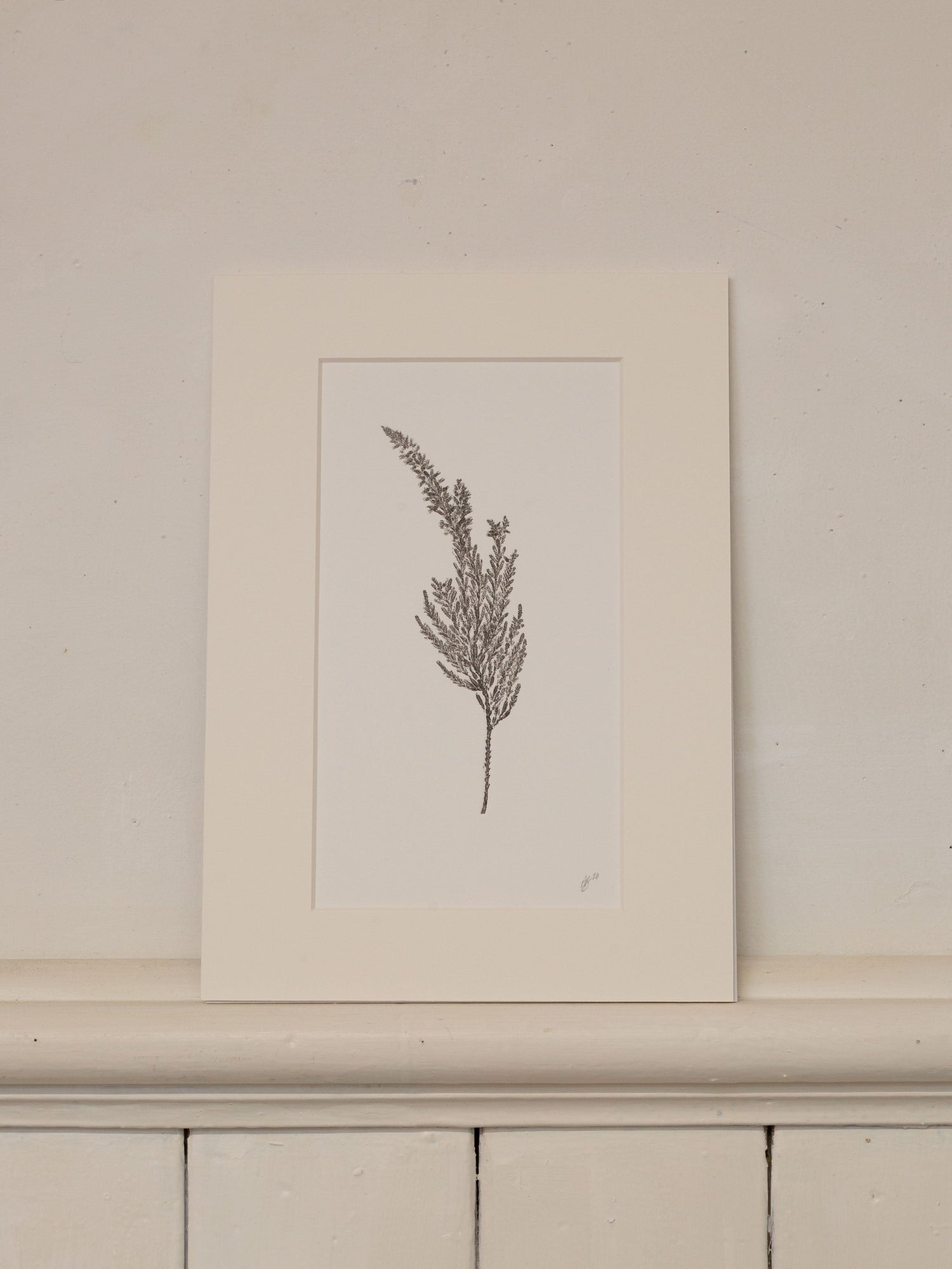 Mounted Original Prints