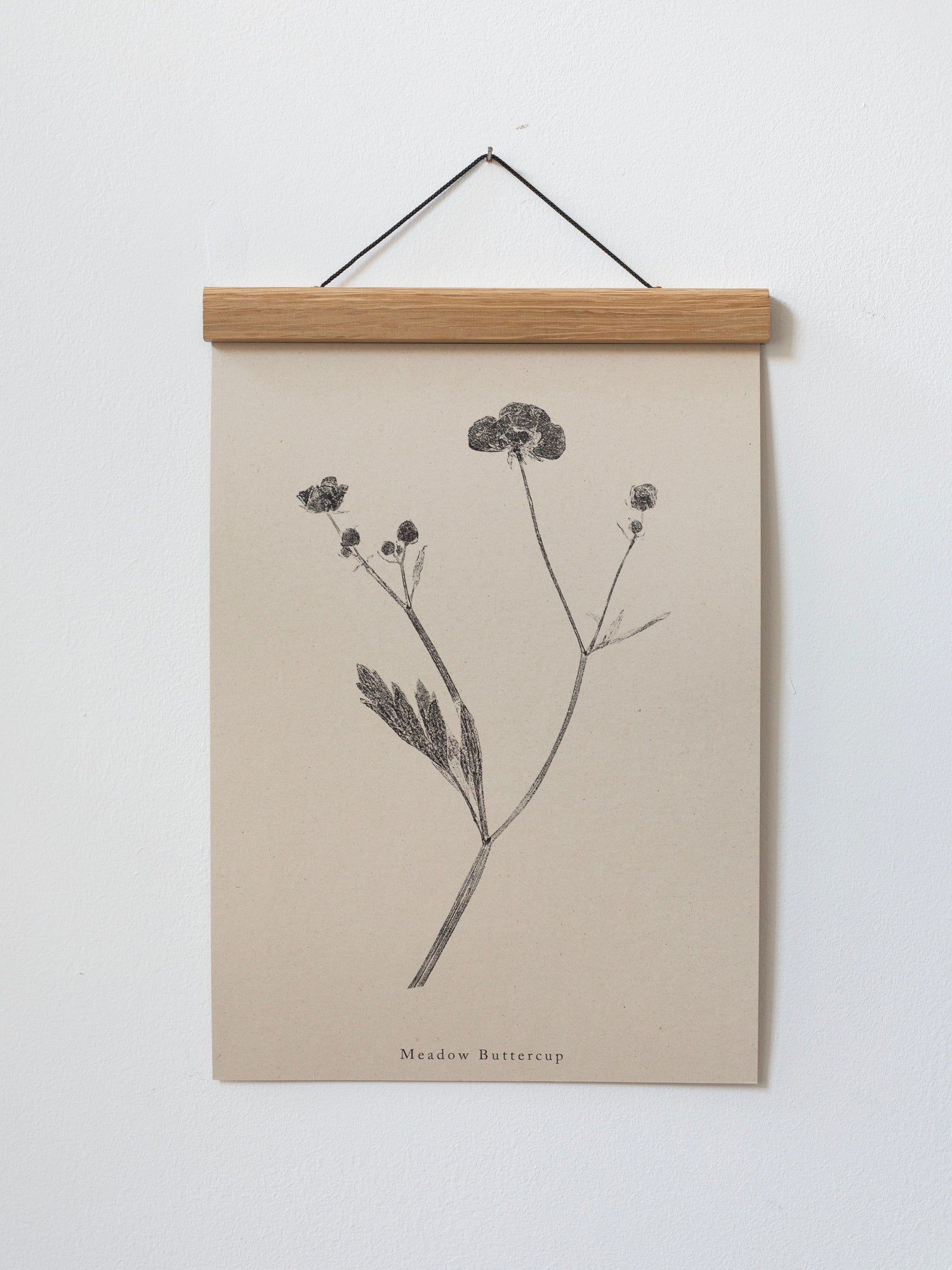 Botanical Art Prints