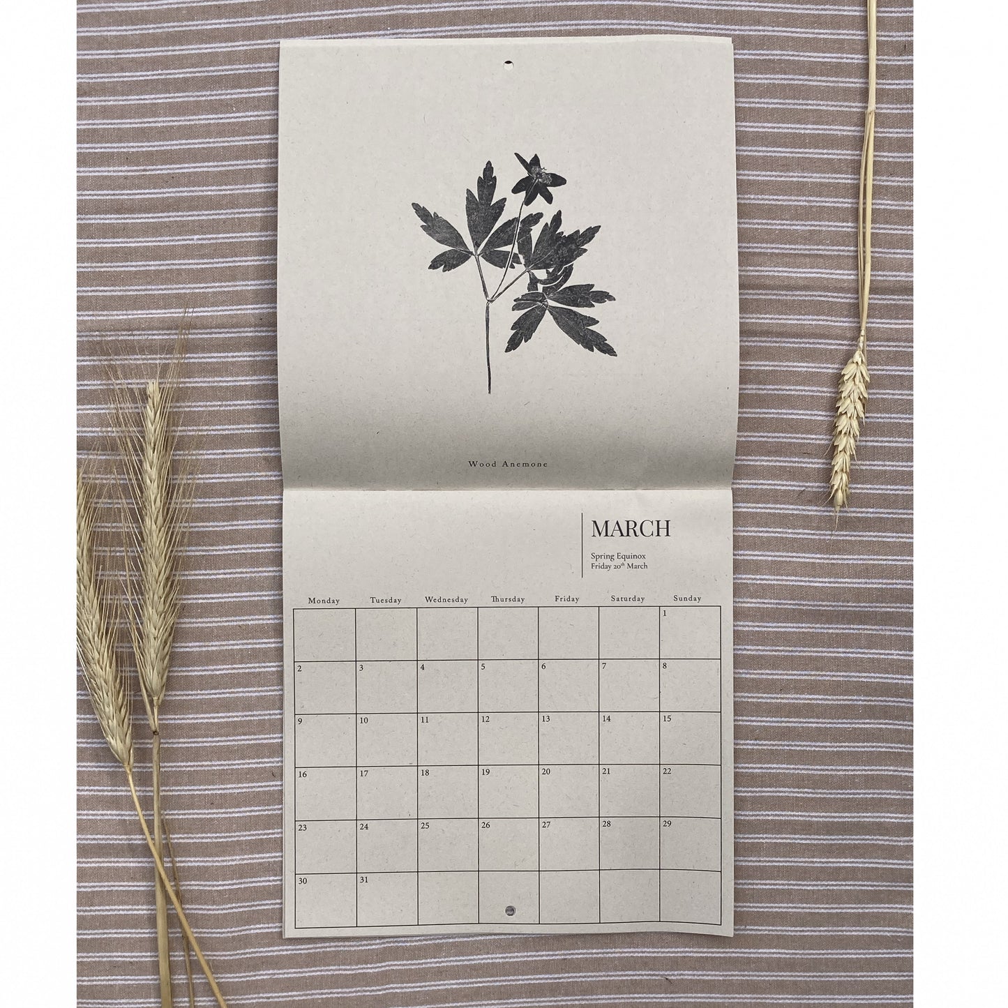 Calendar with March on a textured surface with plant elements