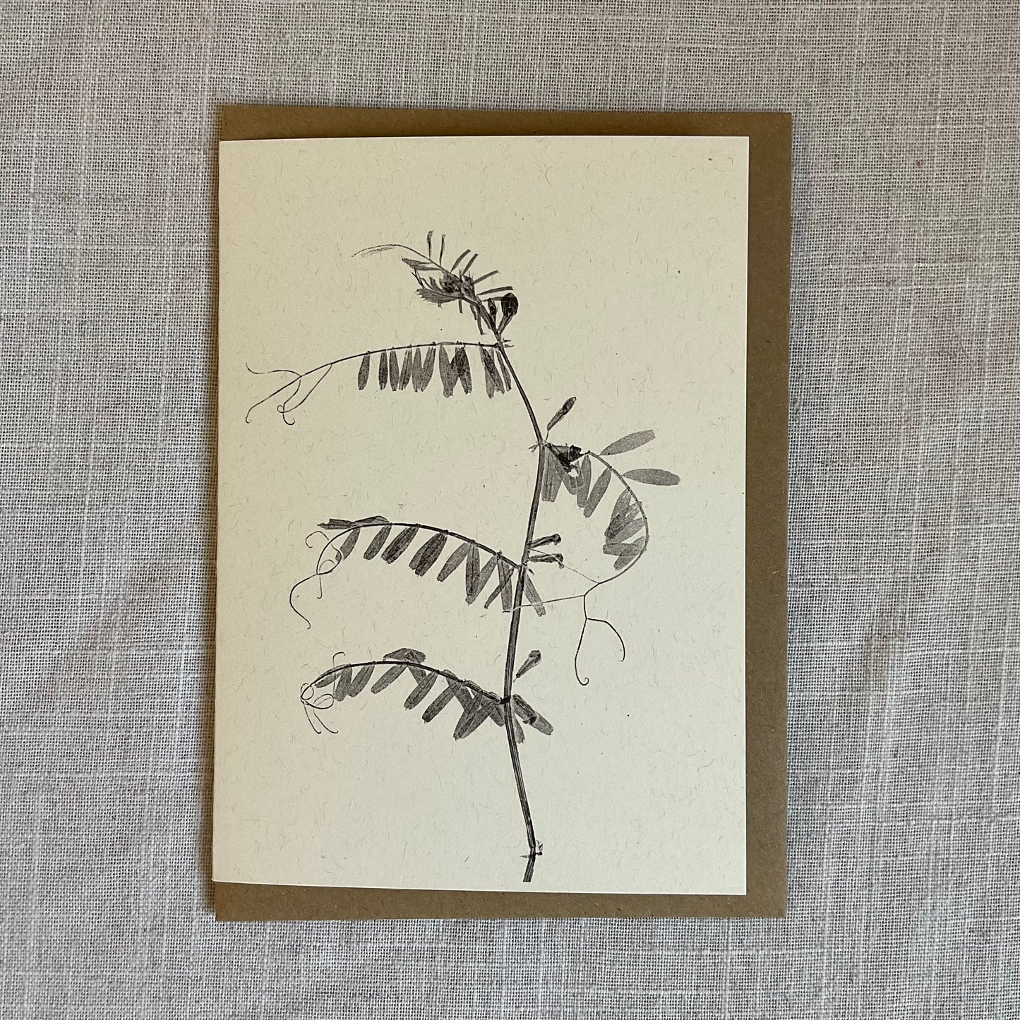 Botanical Greeting Cards