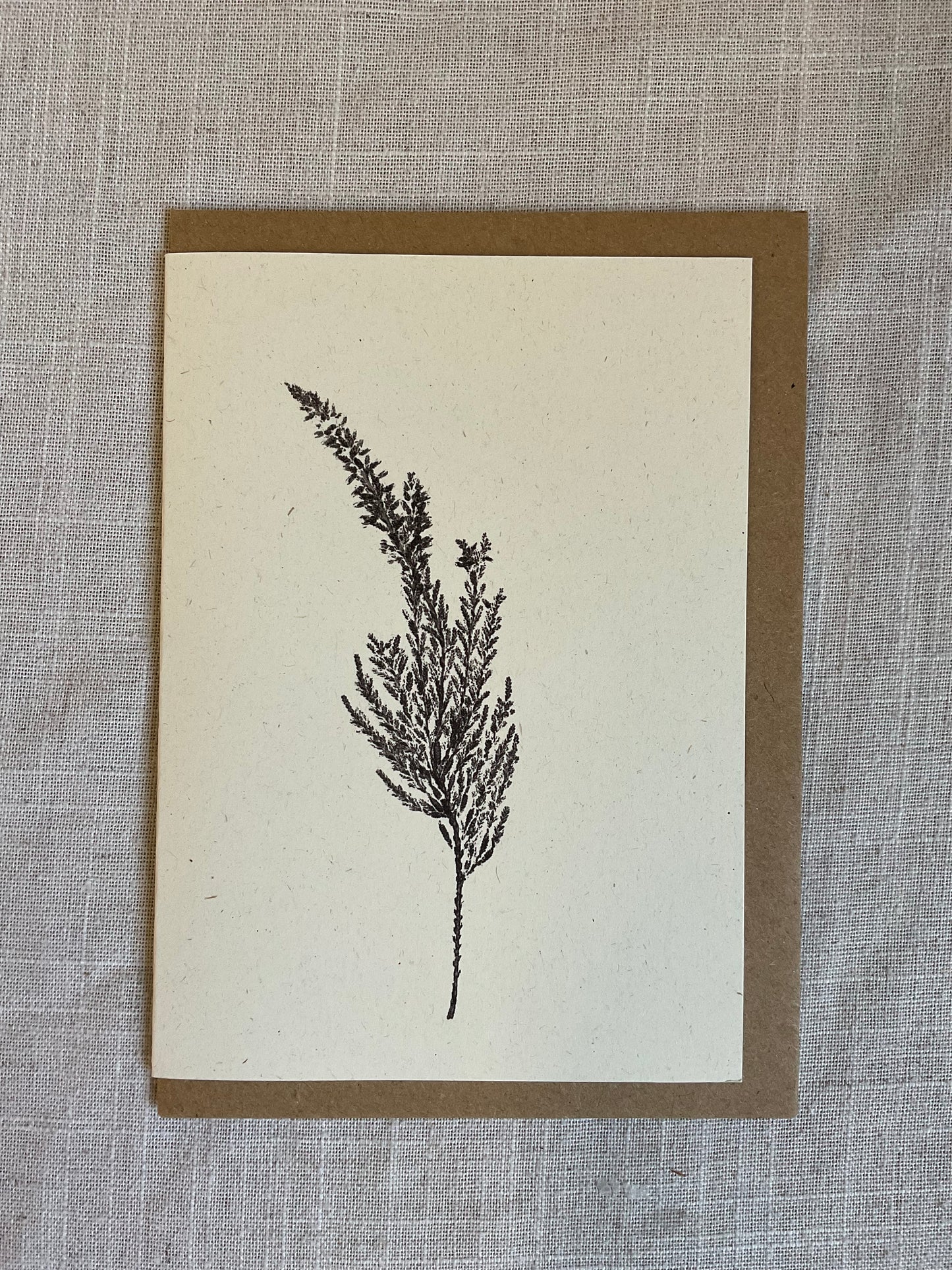 Botanical Greeting Cards