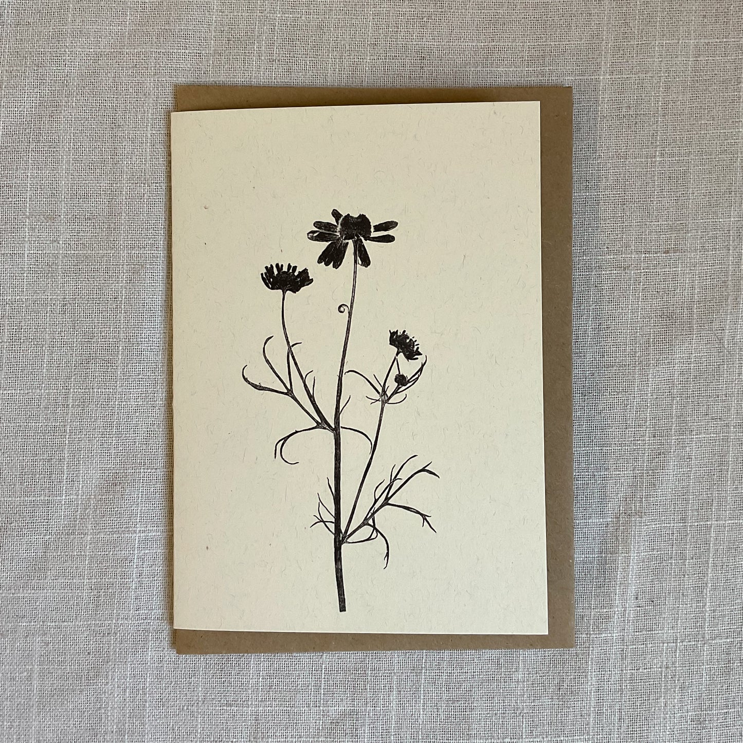 Botanical Greeting Cards