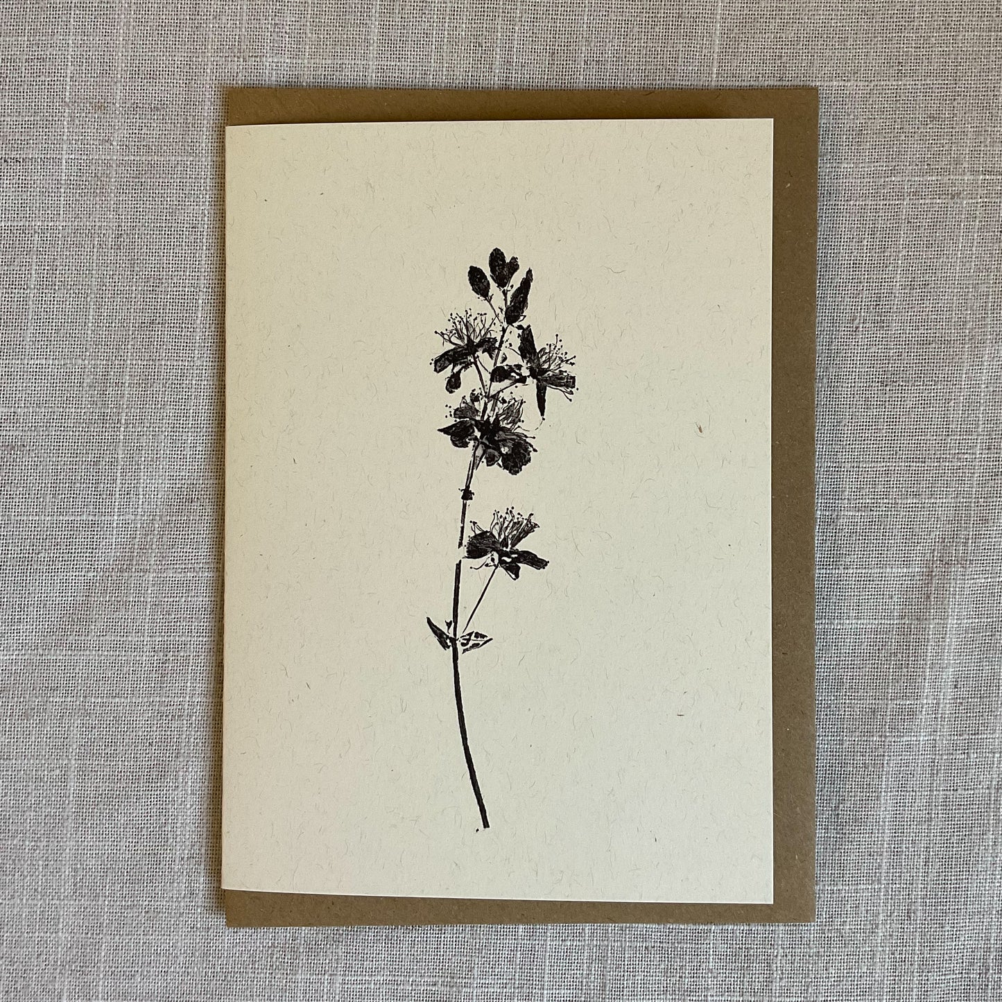 Botanical Greeting Cards