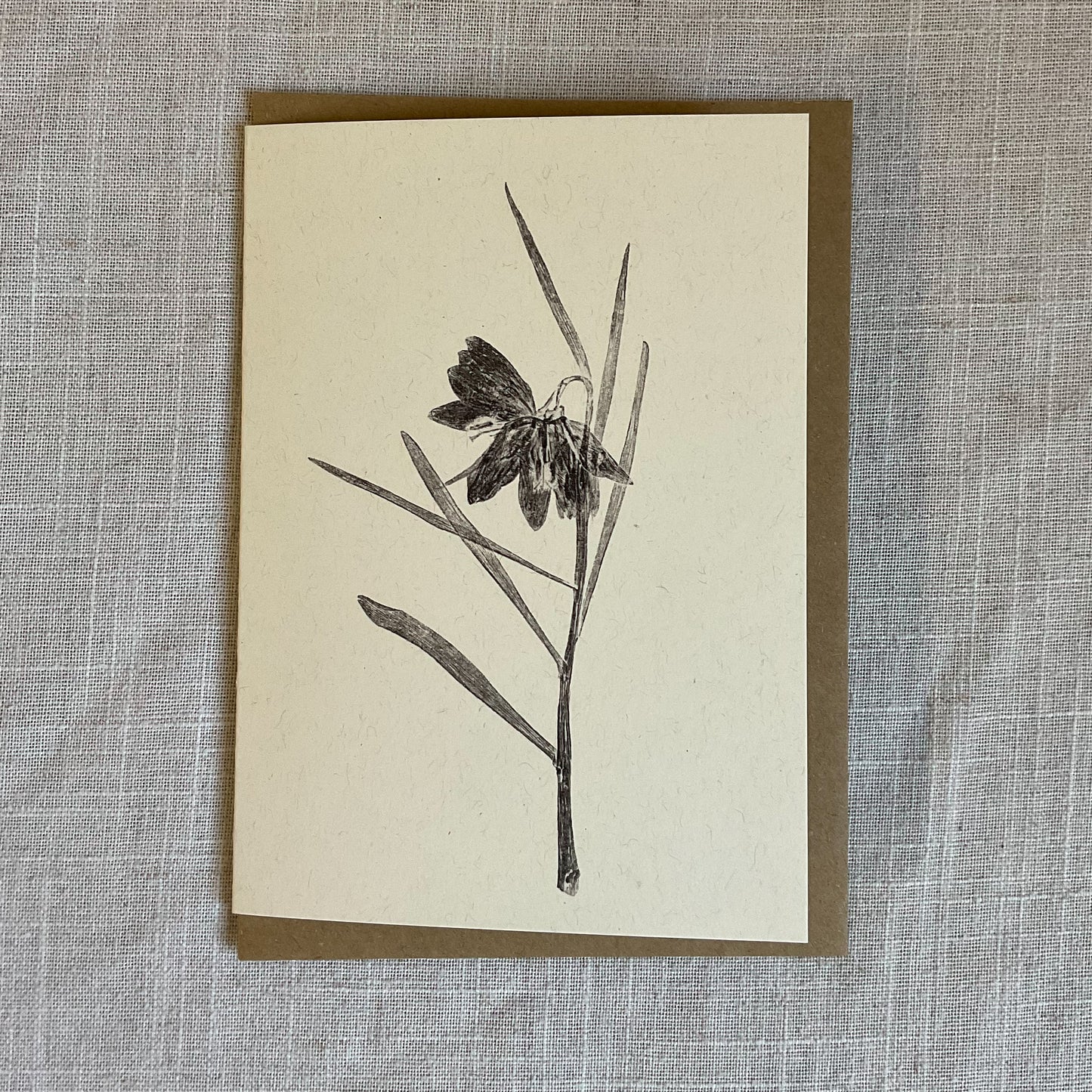 Botanical Greeting Cards